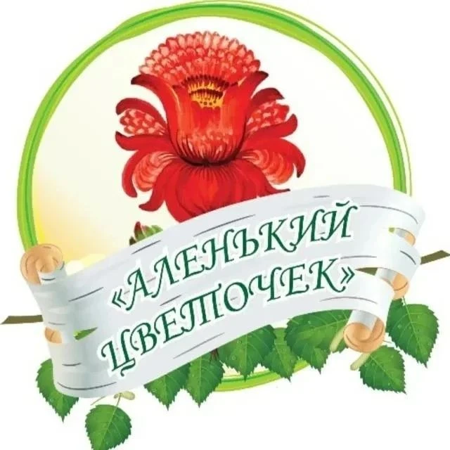 Сообщество МБДОУ детский сад № 17 "Аленький цветочек"