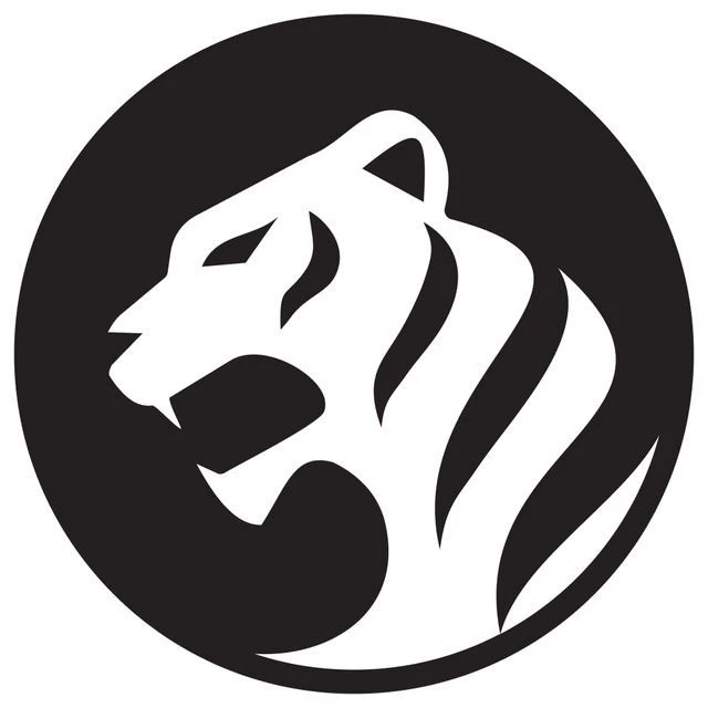 WTS - разработка мобильных приложений | White Tiger Soft