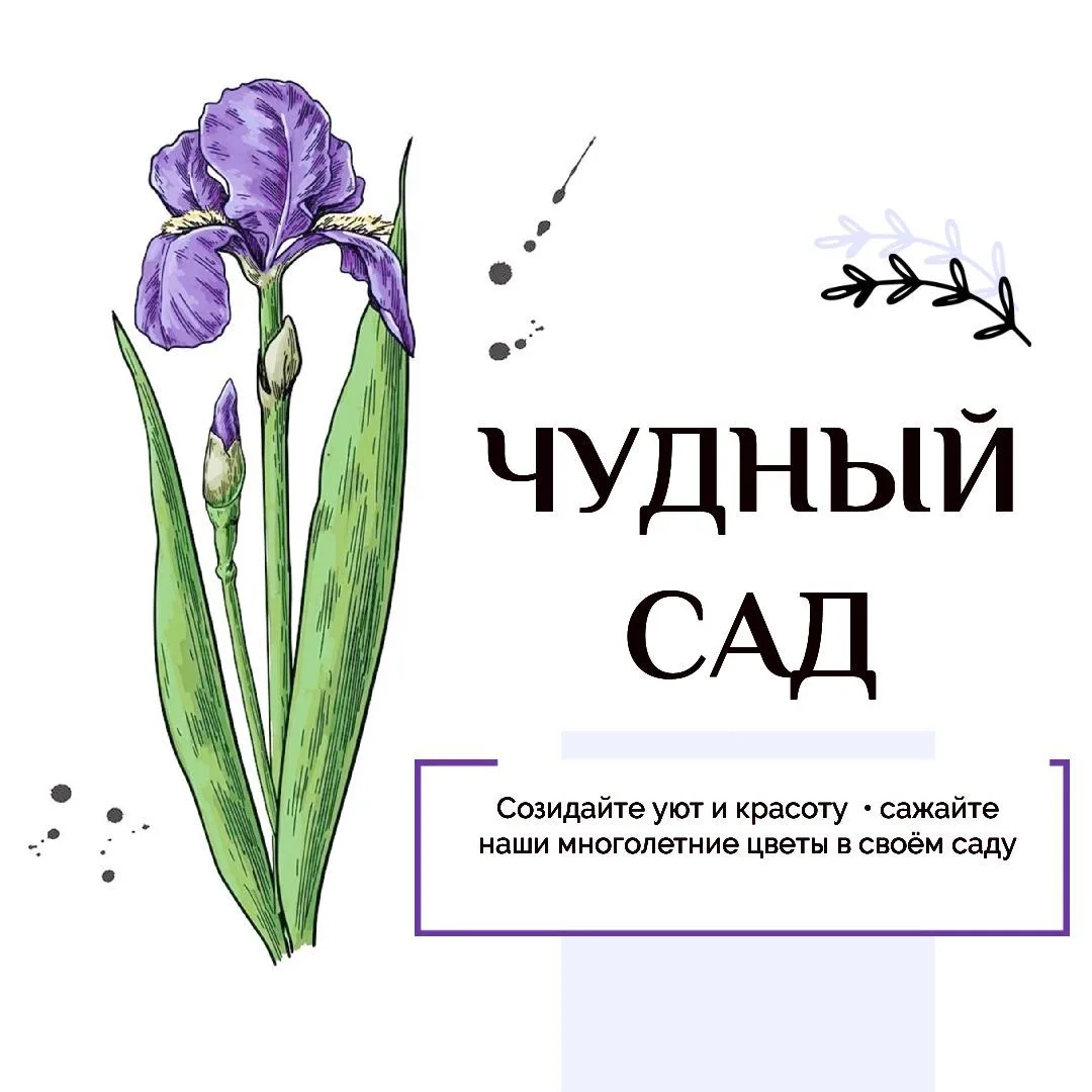 ЧУДНЫЙ САД — канал в мессенджере MAX