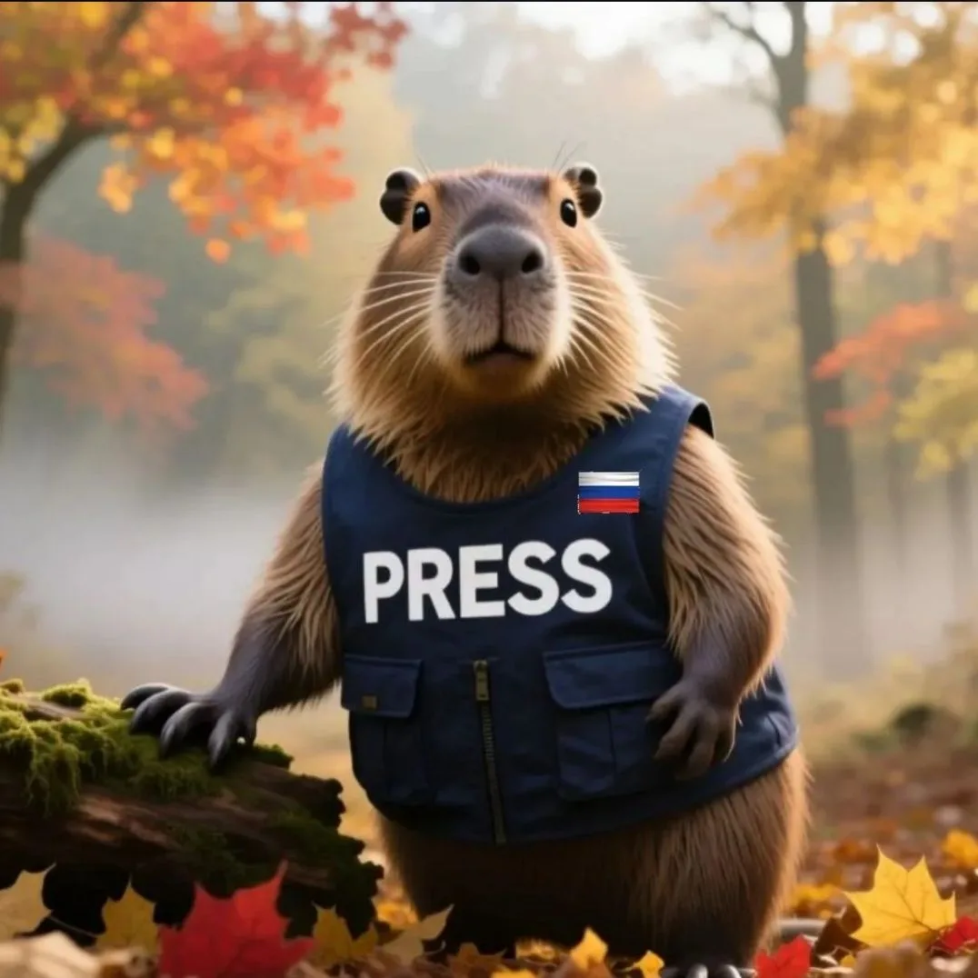 Капибара | Press — канал в мессенджере MAX