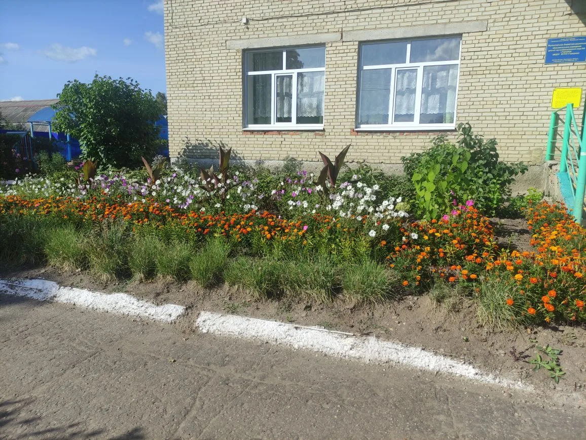 МБДОУ ДС № 4 г. Городище