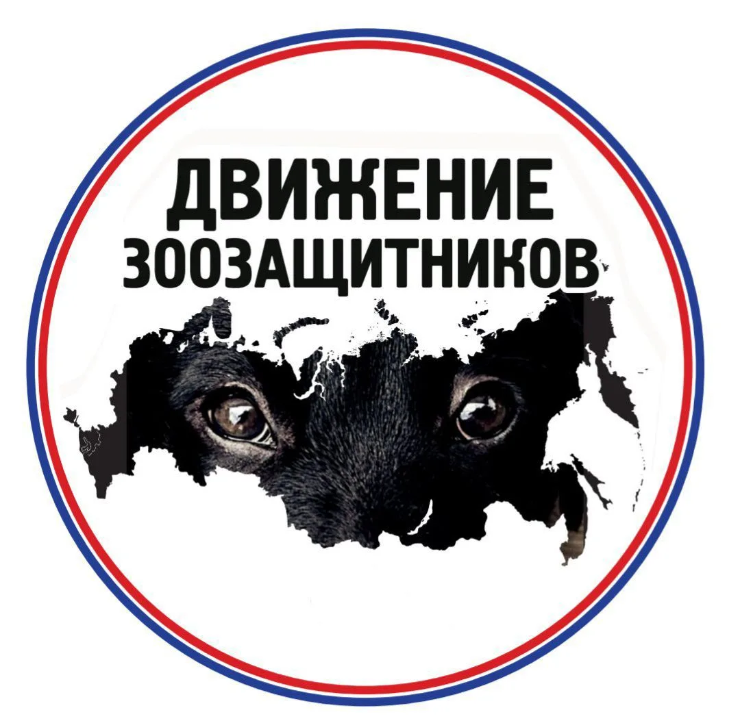 Движение зоозащитников — канал в мессенджере MAX