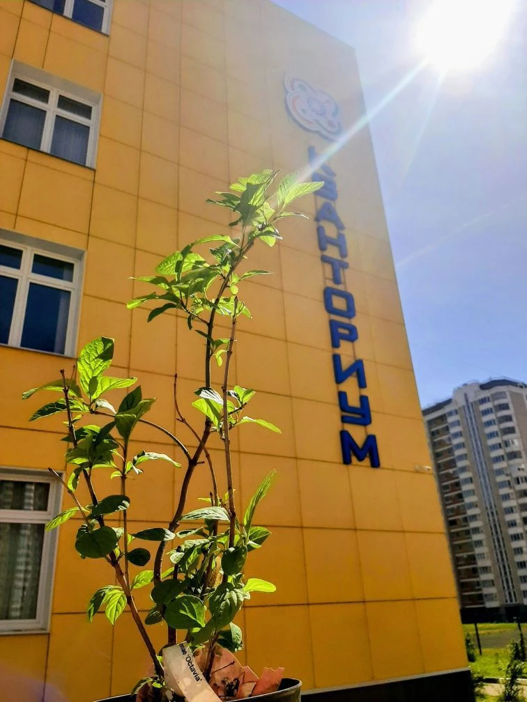 Кванториум Балашиха