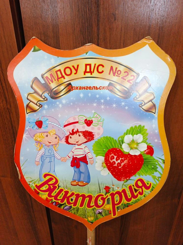 МДОУ детский сад 22 "Виктория"