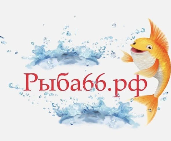 Рыба Екатеринбург Рыба66 — канал в мессенджере MAX