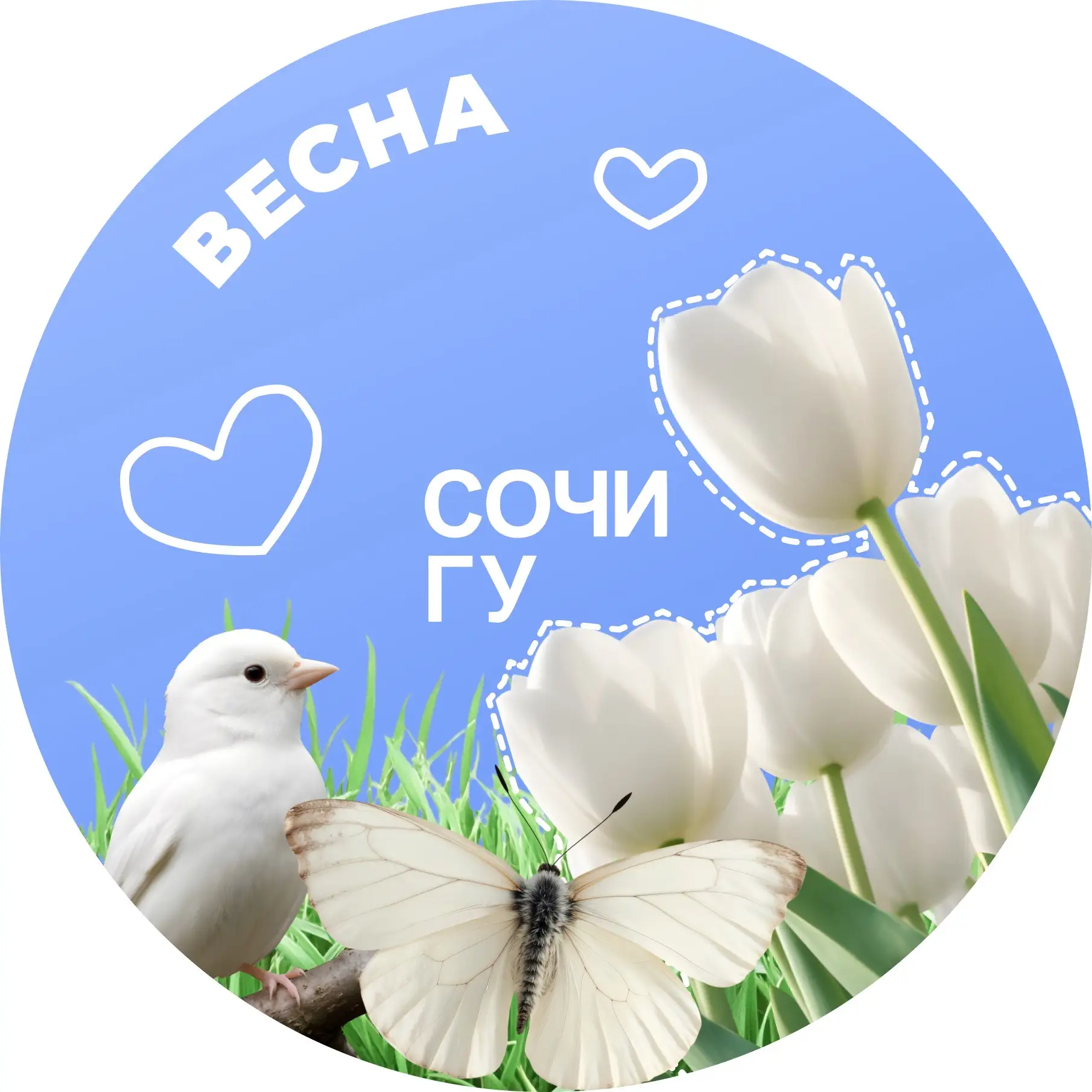 Сочинский госуниверситет