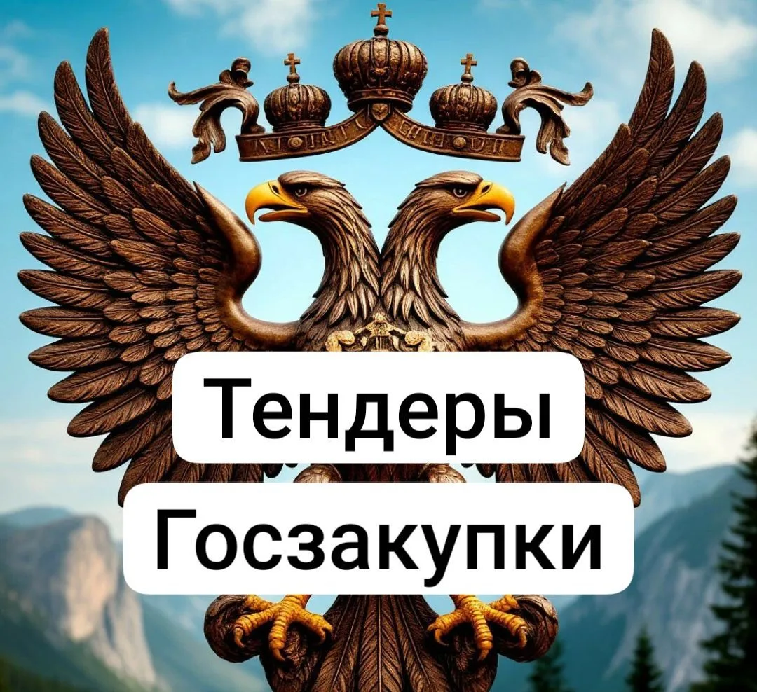 Тендеры госзакупки Евгений Цыганов