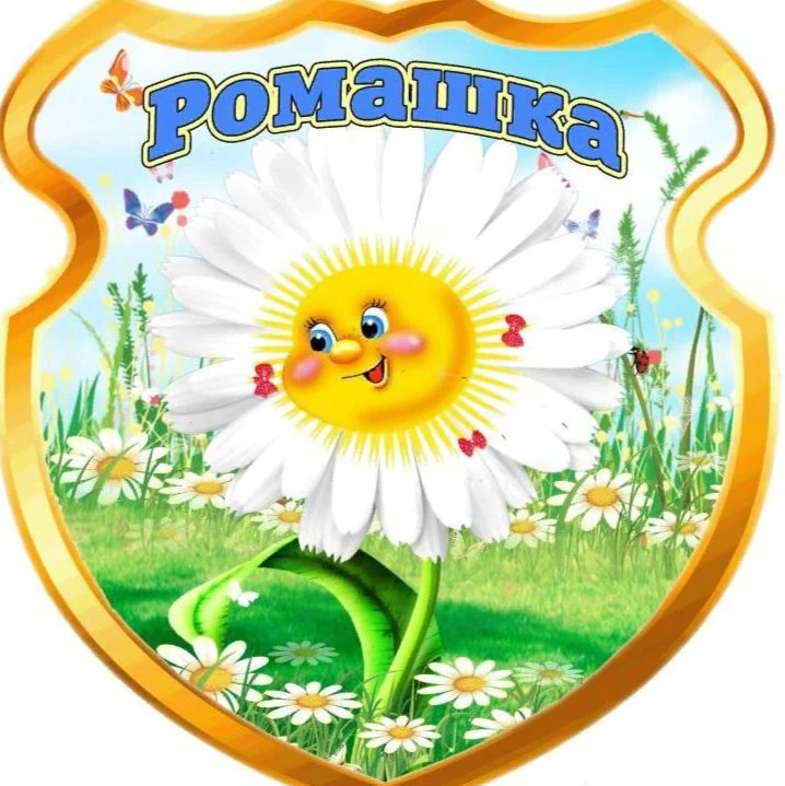 МБДОУ детский сад № 27 "Ромашка"