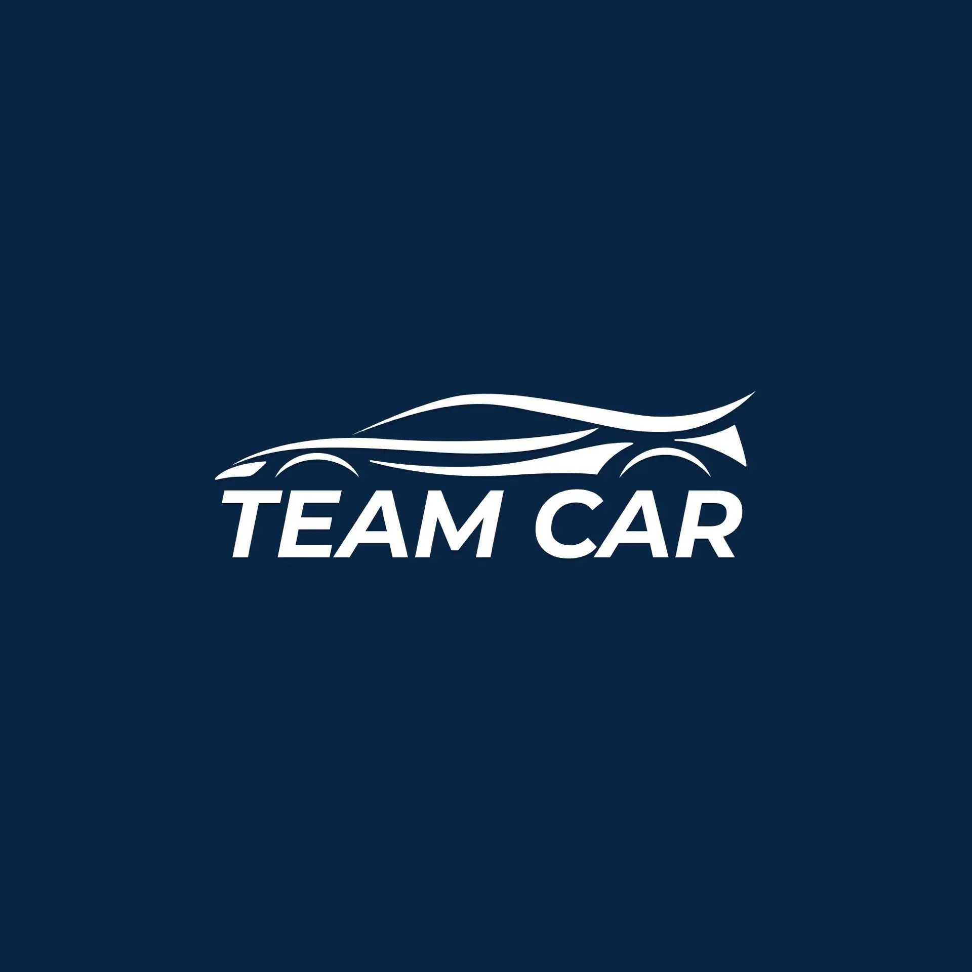Team Car Selection — канал в мессенджере MAX