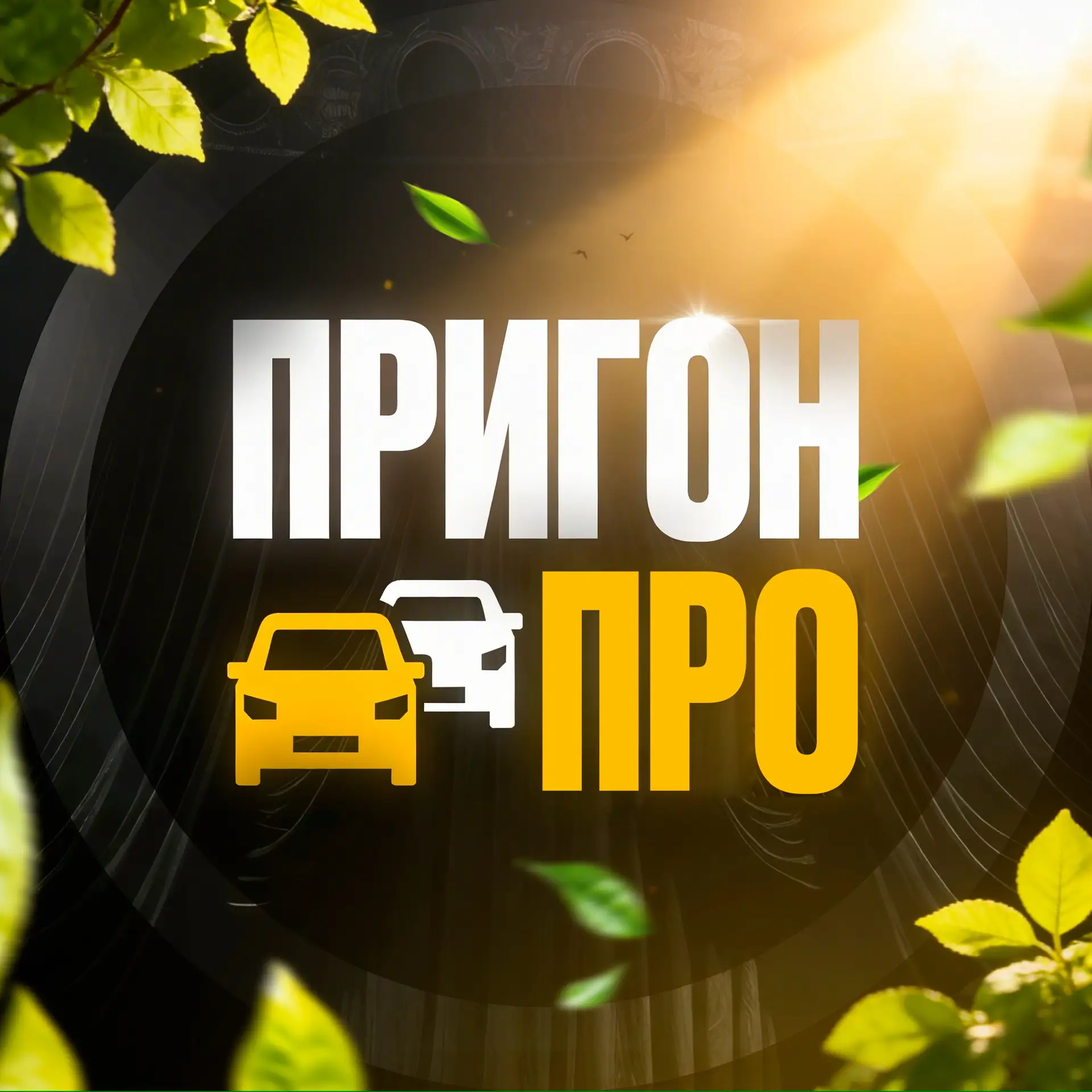 ПригонПРО - авто из Кореи и Китая