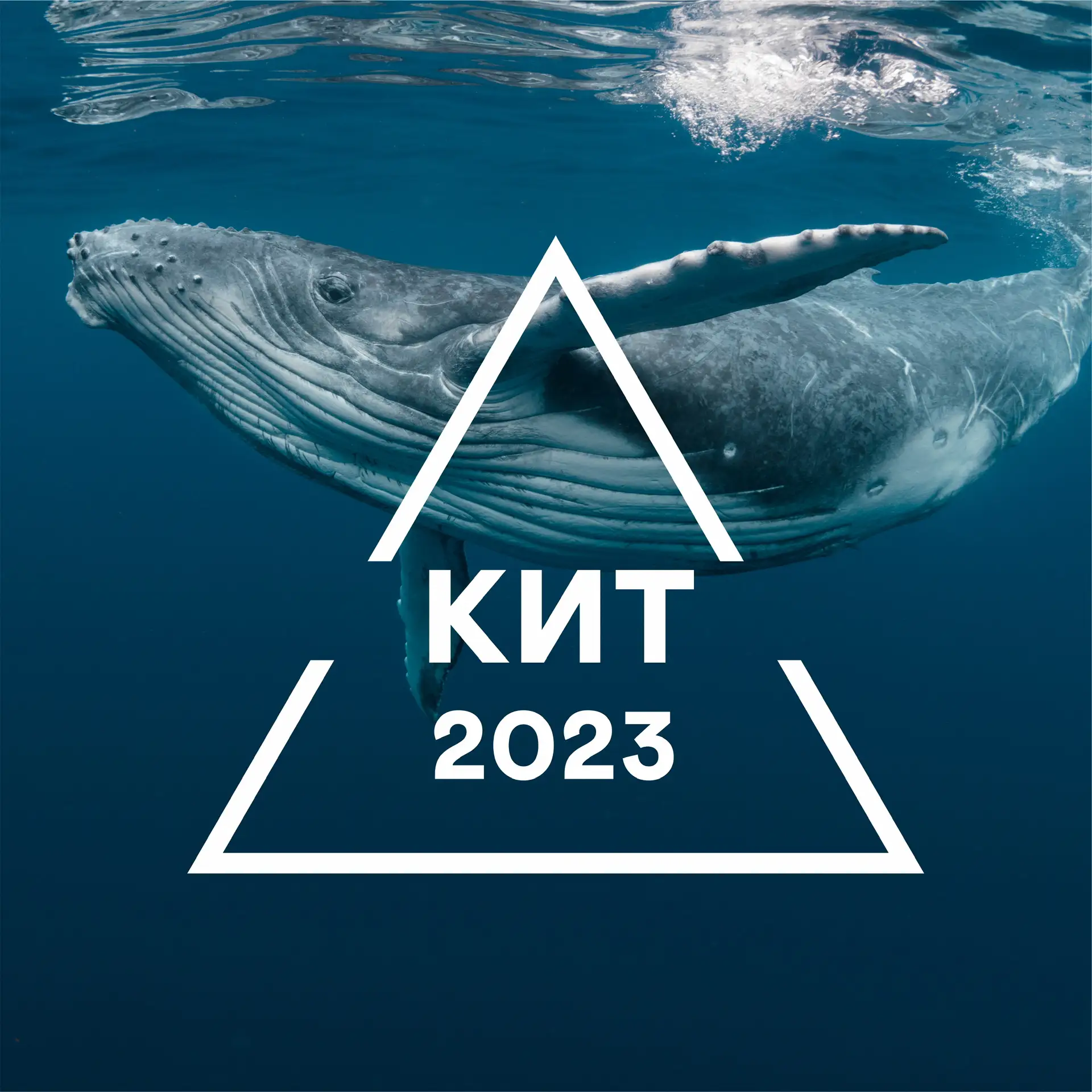 КИТ Мариуполь 🐋