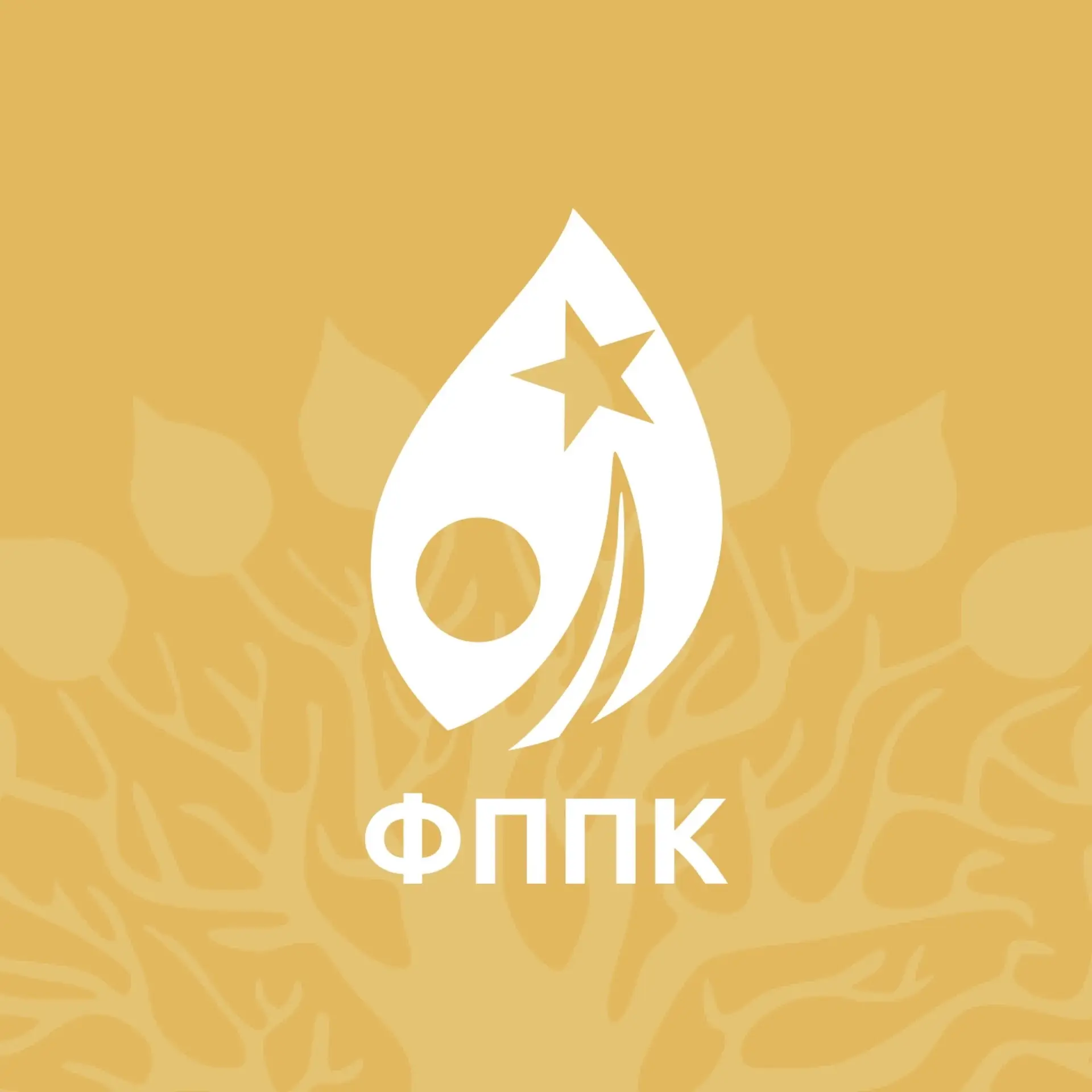 Я — студент ФППК КубГУ