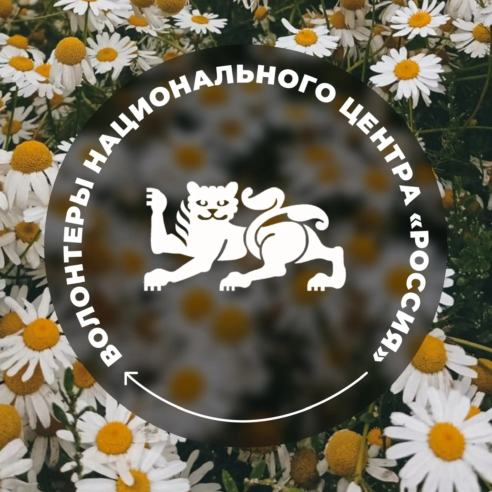 Волонтеры Национального центра «Россия» — канал в мессенджере MAX