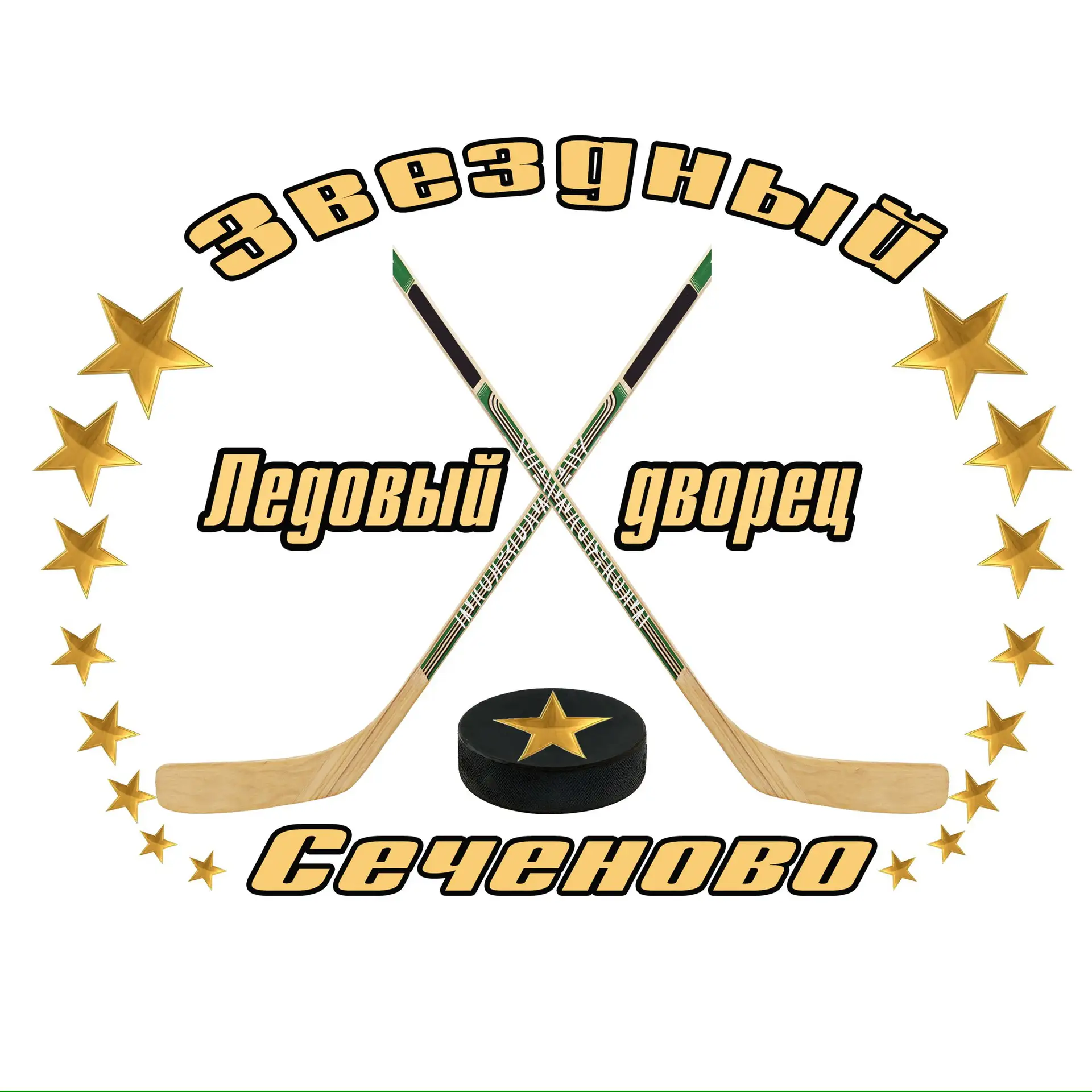 ГАУ НО ЛЕДОВЫЙ ДВОРЕЦ В С. СЕЧЕНОВО НИЖЕГОРОДСКОЙ ОБЛАСТИ