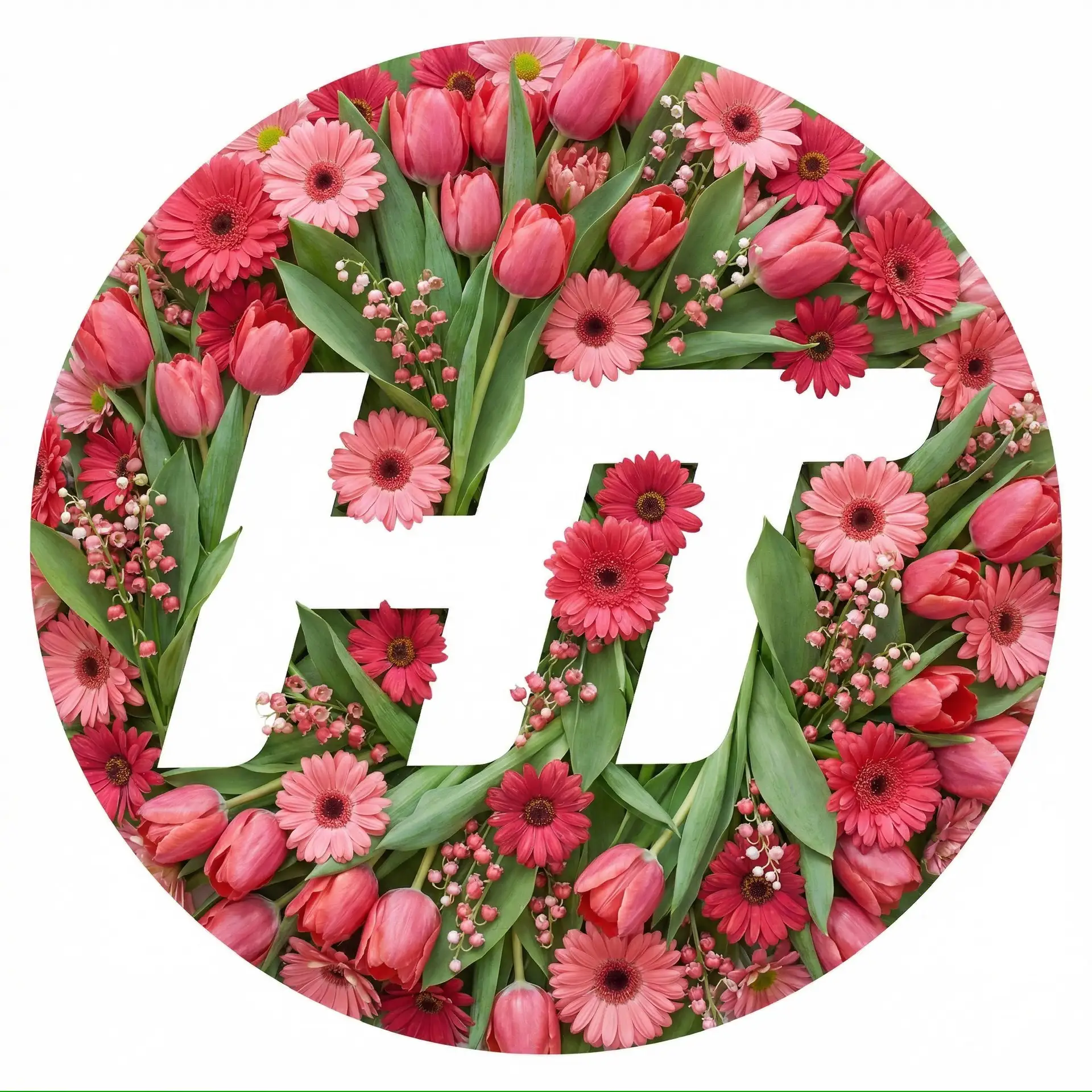 Новгородское областное телевидение