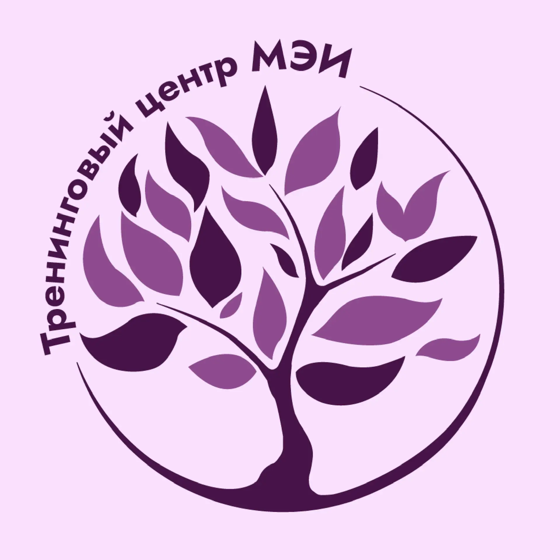 Тренинговый центр МЭИ