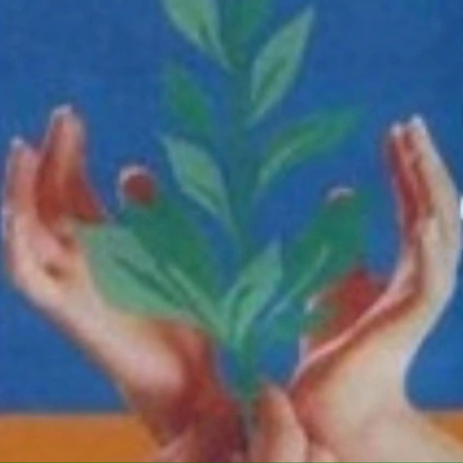 ГКОУ школа35 Усть-Лабинск