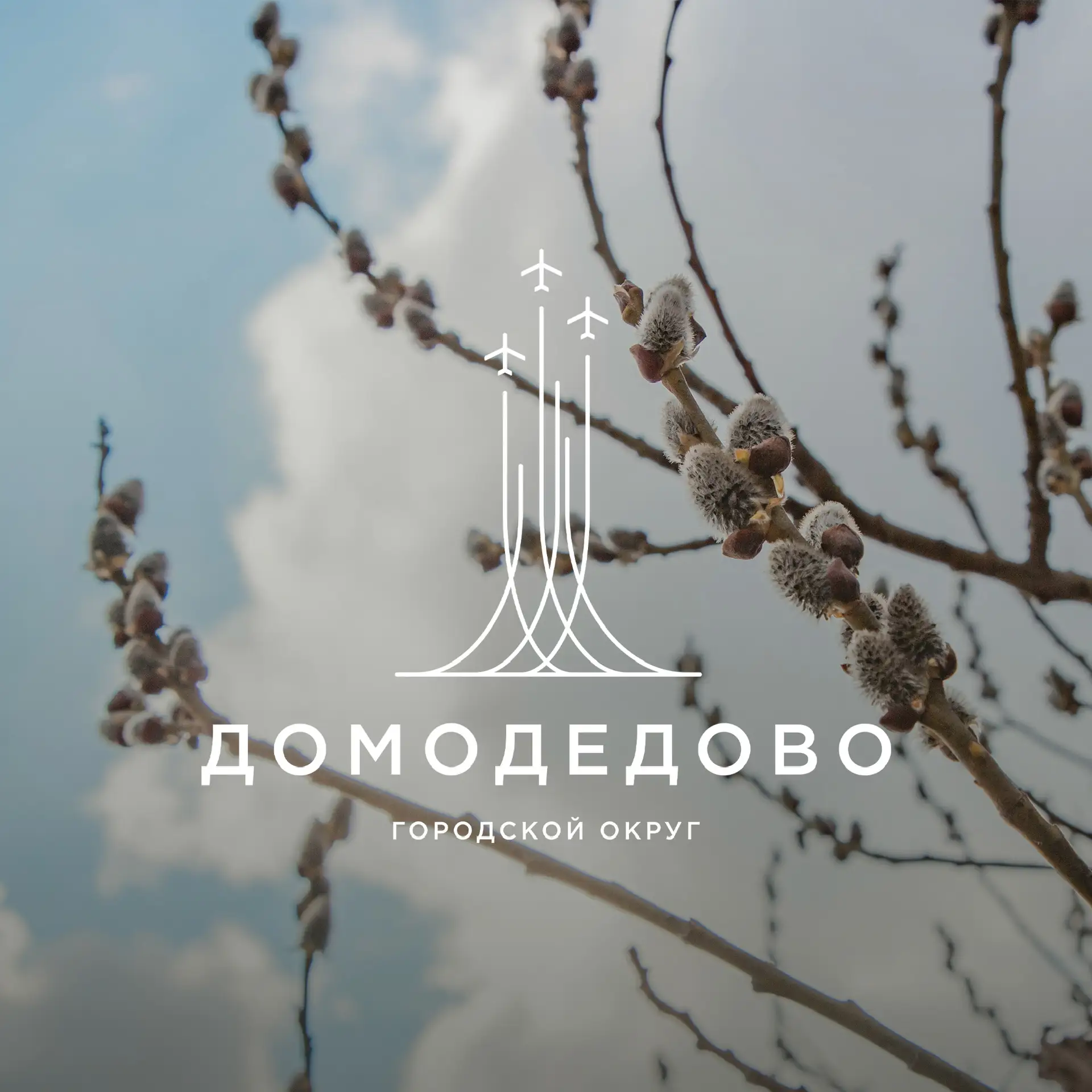 Администрация городского округа Домодедово