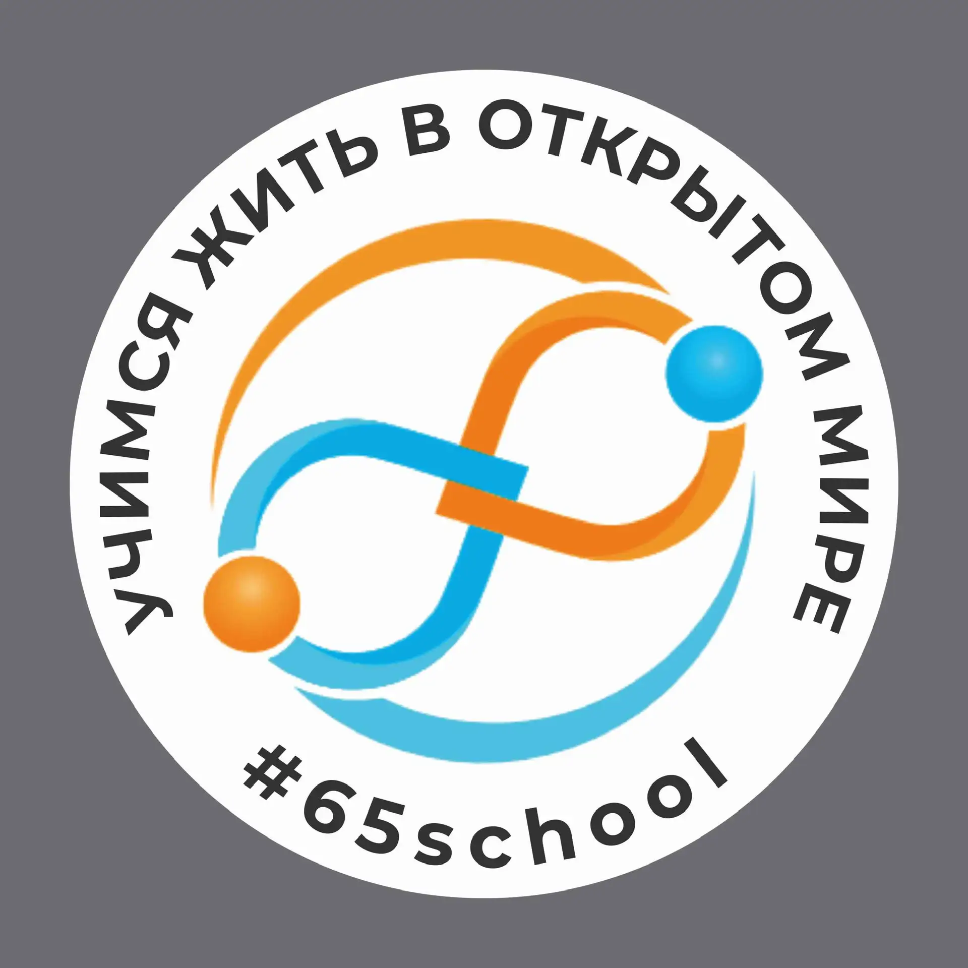 МАОУ «СОШ N 65» г.Перми