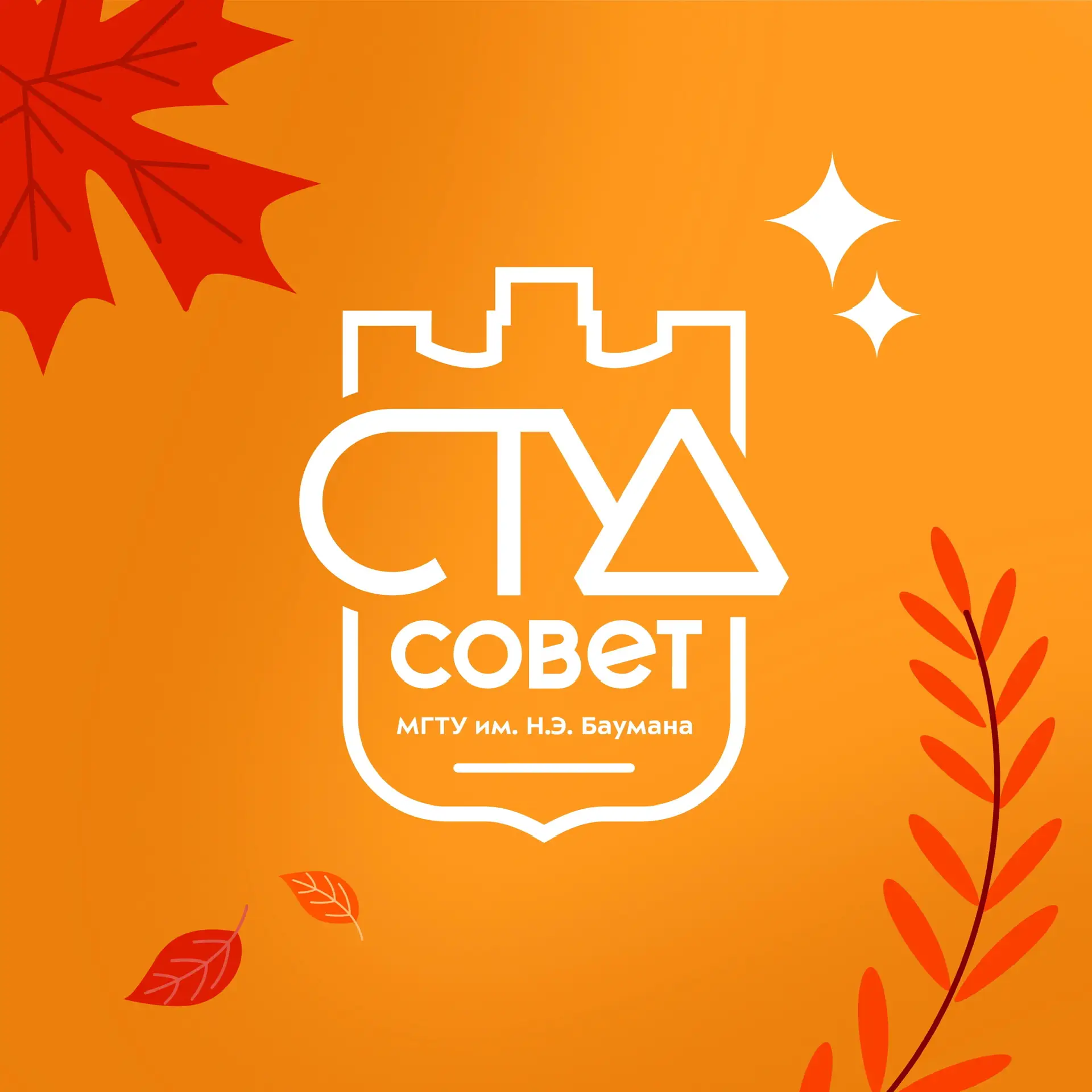 Студенческий совет МГТУ им. Н.Э. Баумана