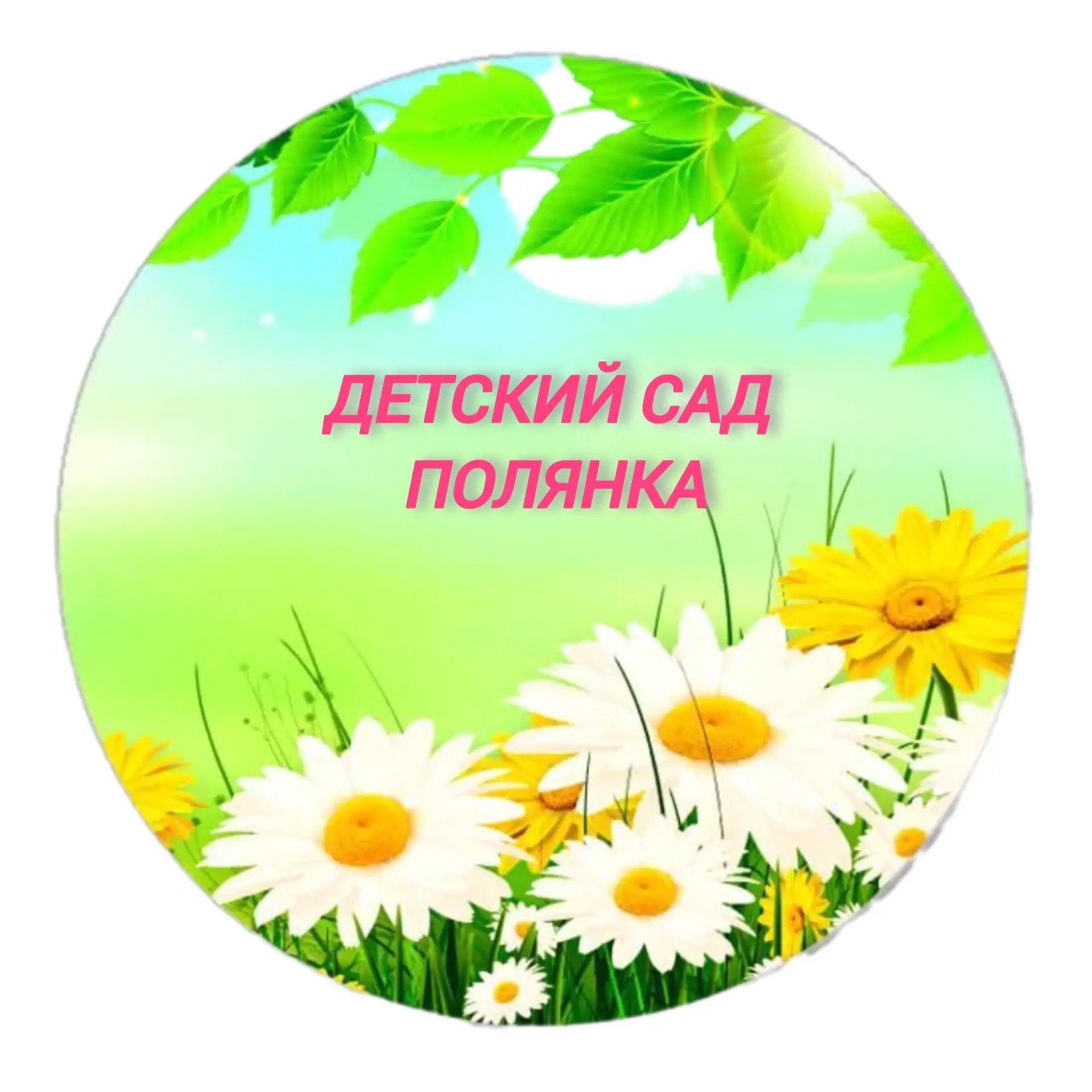 МАДОУ "Детский сад № 5 "Полянка"