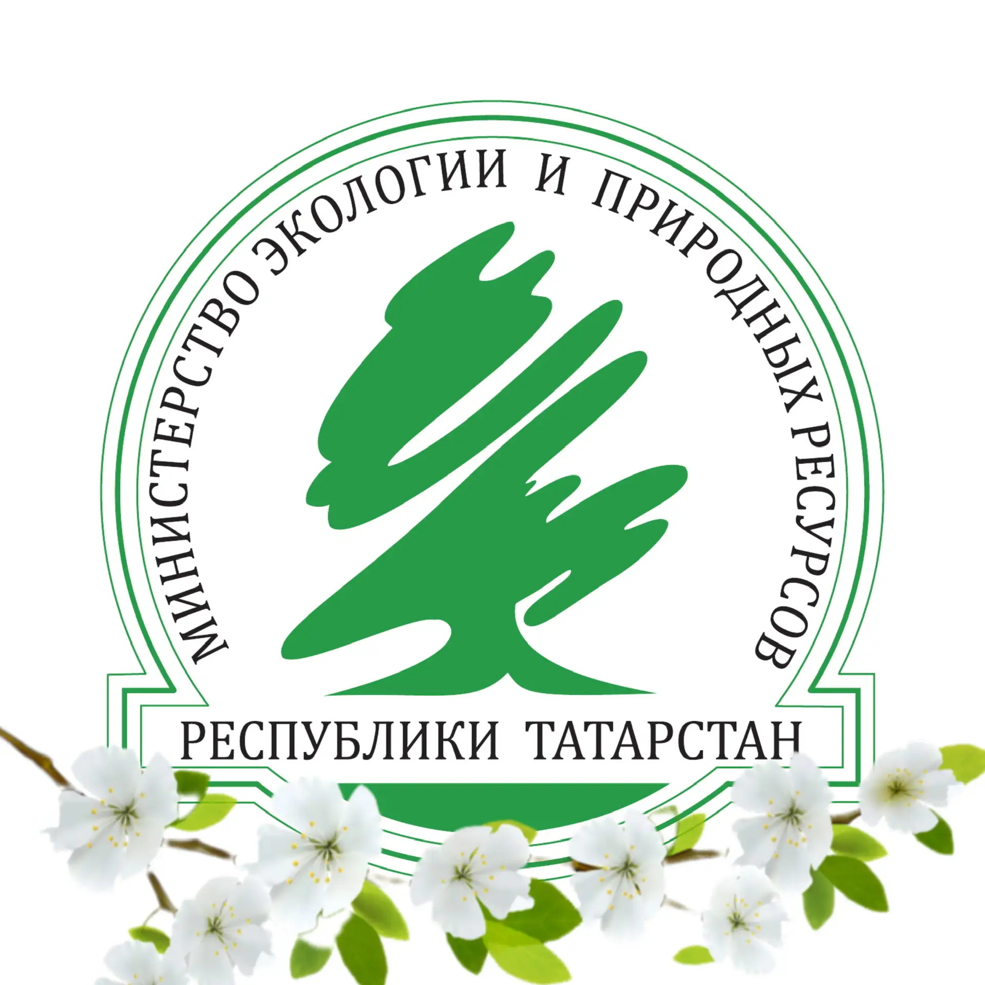 Минэкологии Татарстана