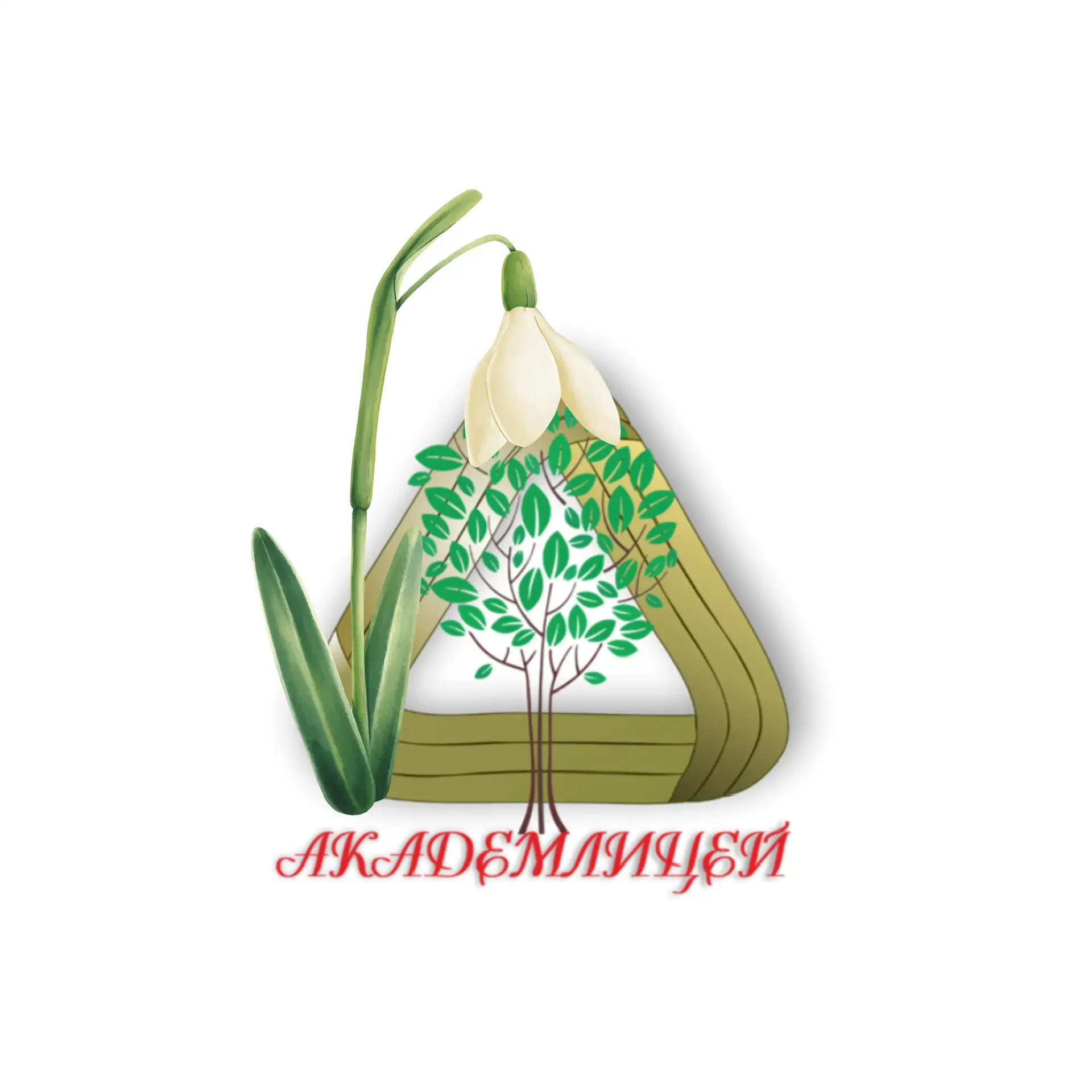 Академический лицей им. Г. А. Псахье г. Томска