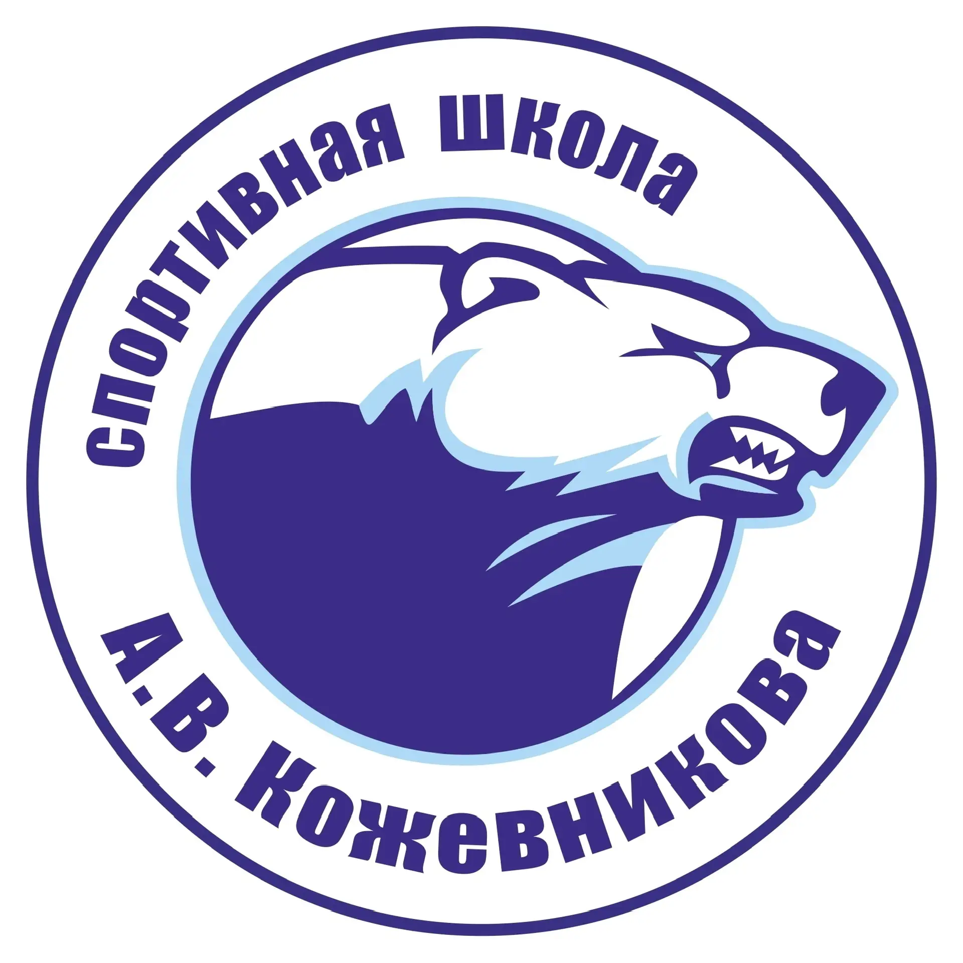 БУ ДО г. Омска «СШ А.В. Кожевникова»