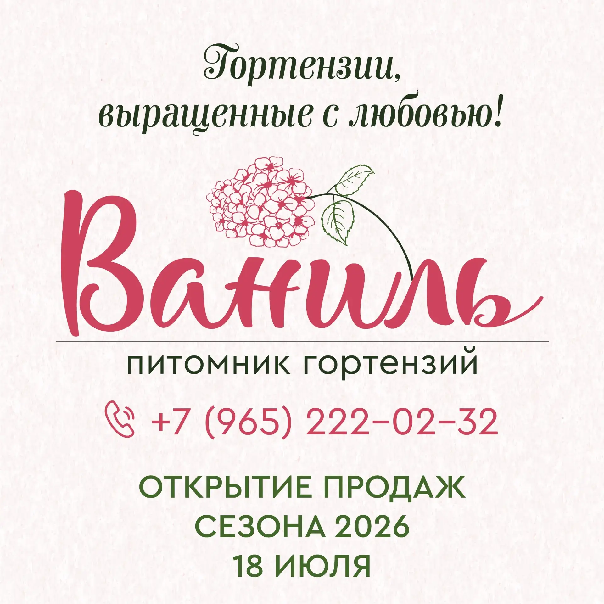 Питомник гортензий Ваниль — канал в мессенджере MAX