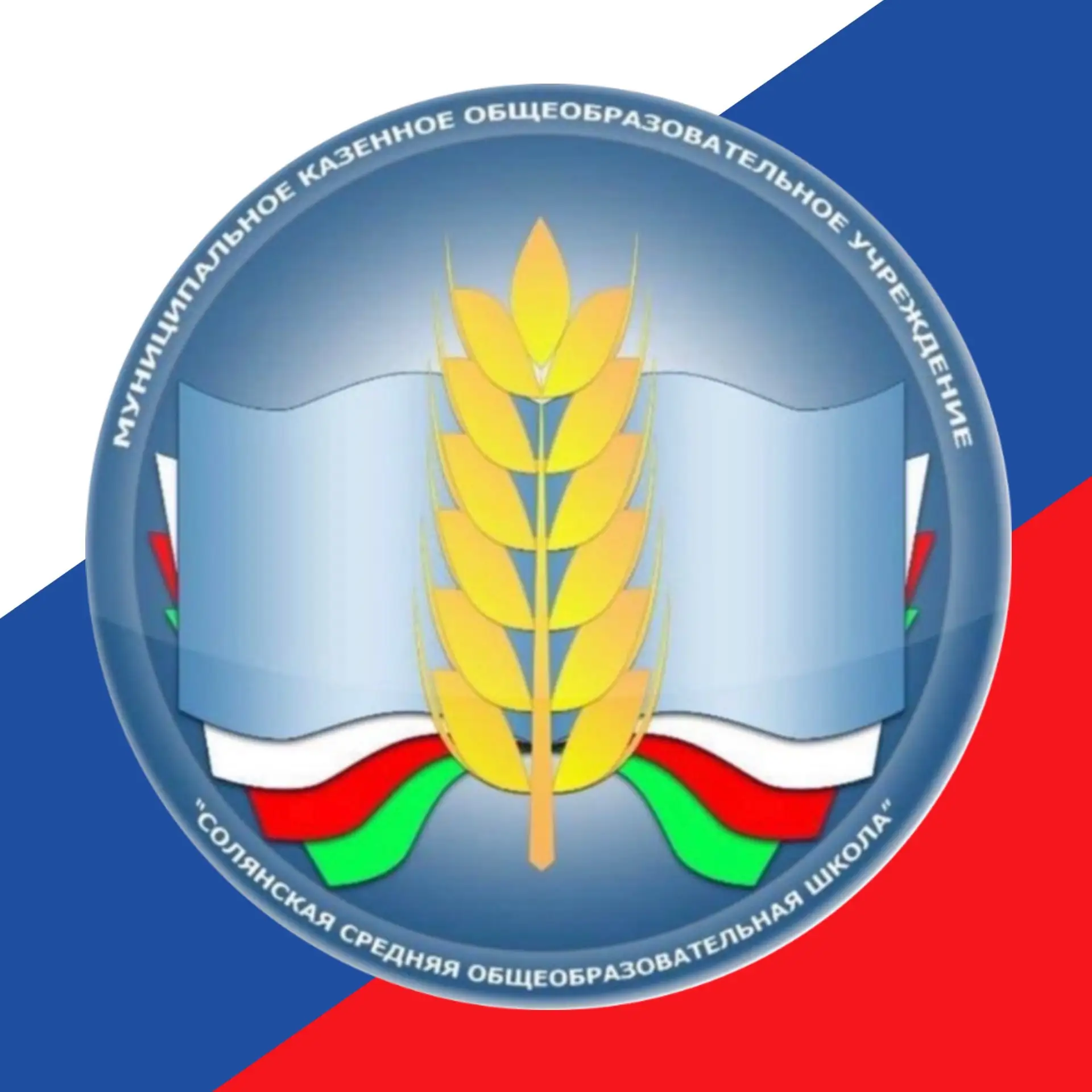 Информационный канал МКОУ «Солянская СОШ»