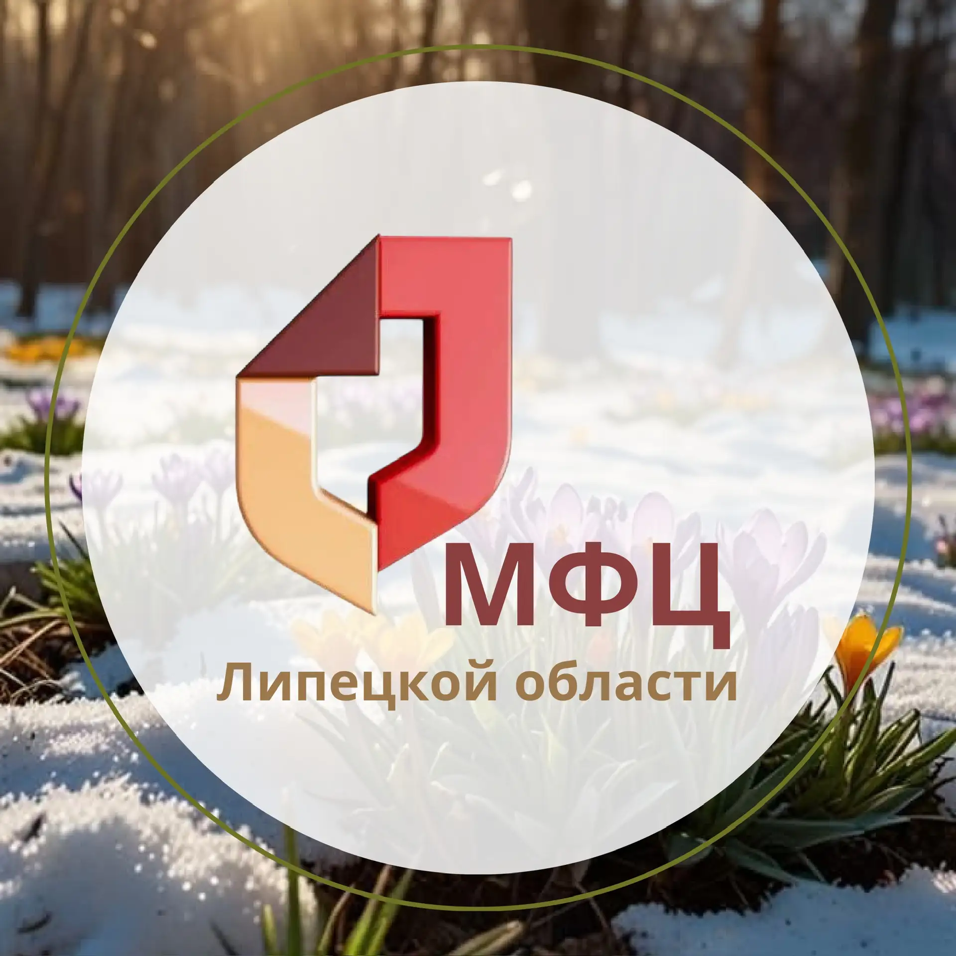 МФЦ Липецкой области