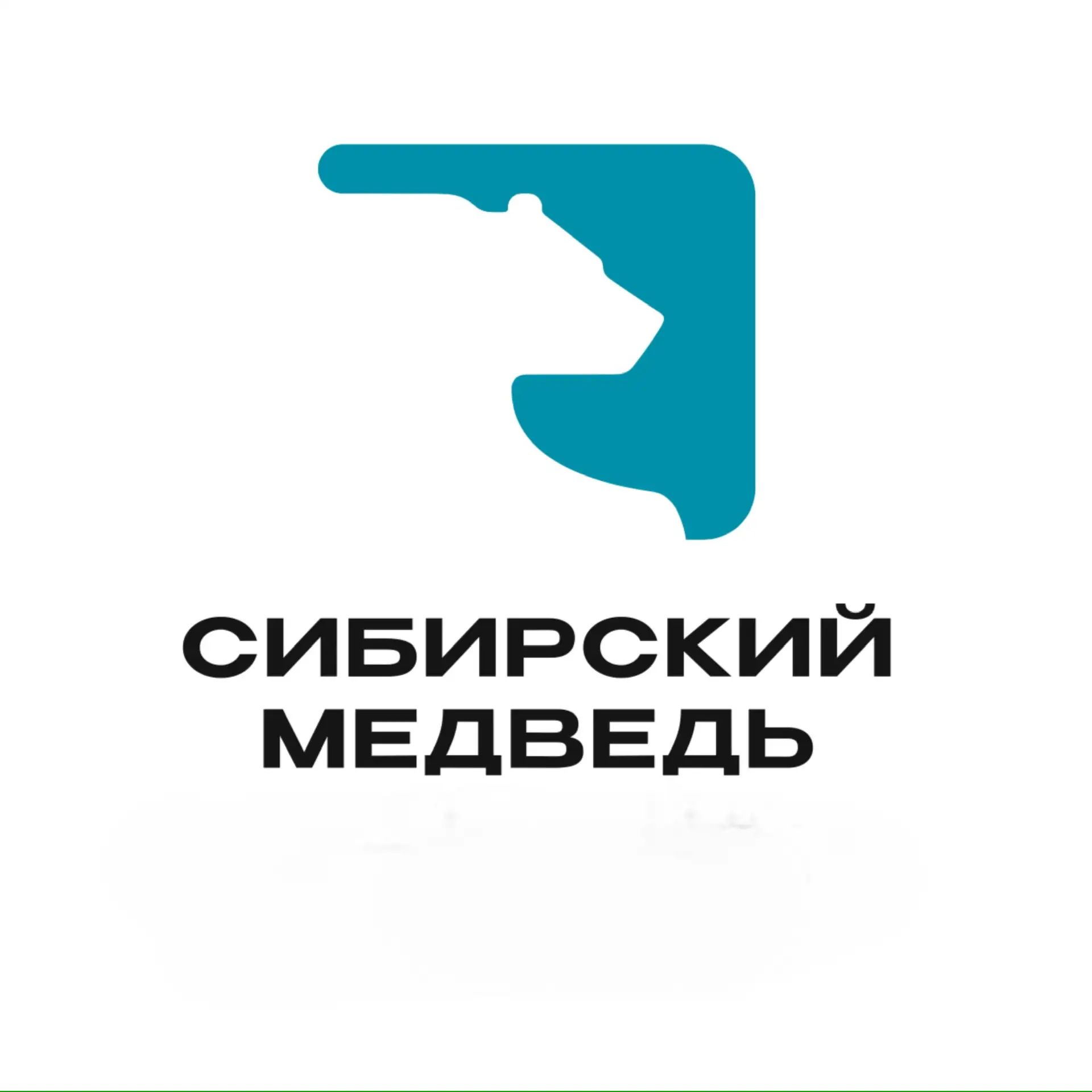 Сибирский Медведь — канал в мессенджере MAX