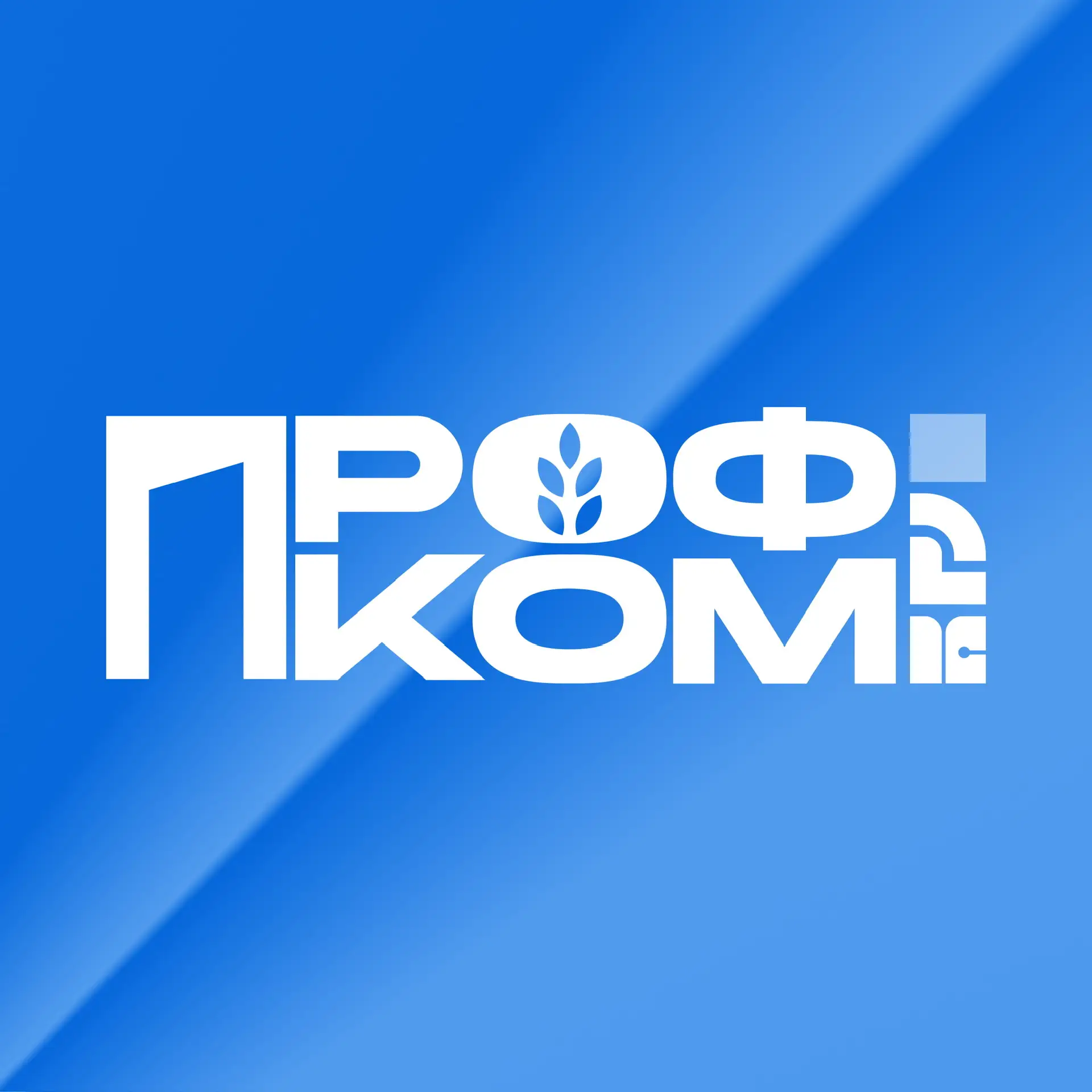 Профком студентов БГУ (Улан-Удэ) — канал в мессенджере MAX