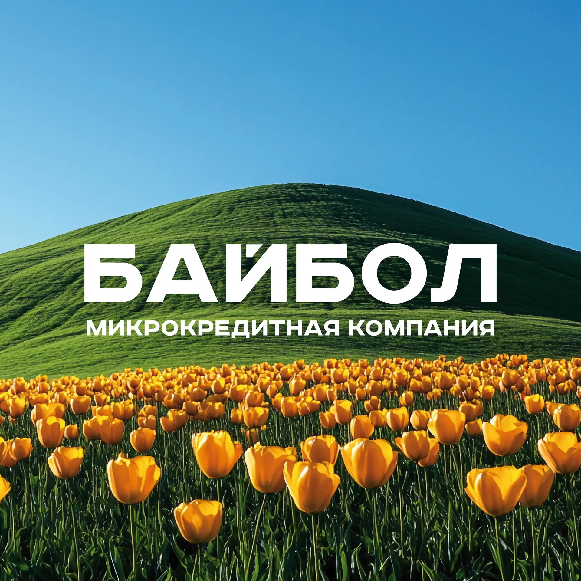 Байбол | Займы для своих