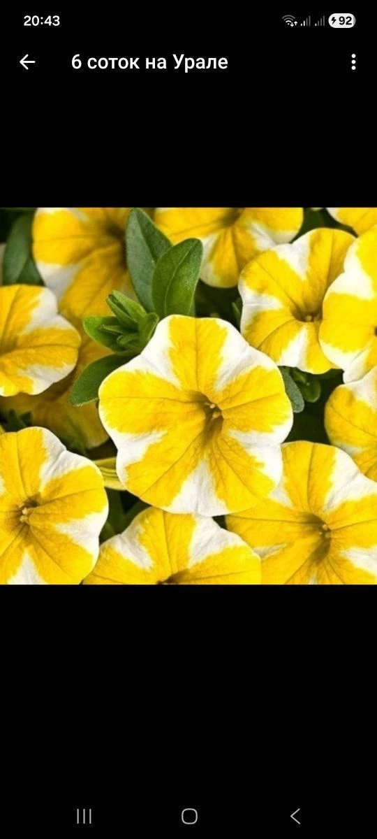 6 соток на Урале