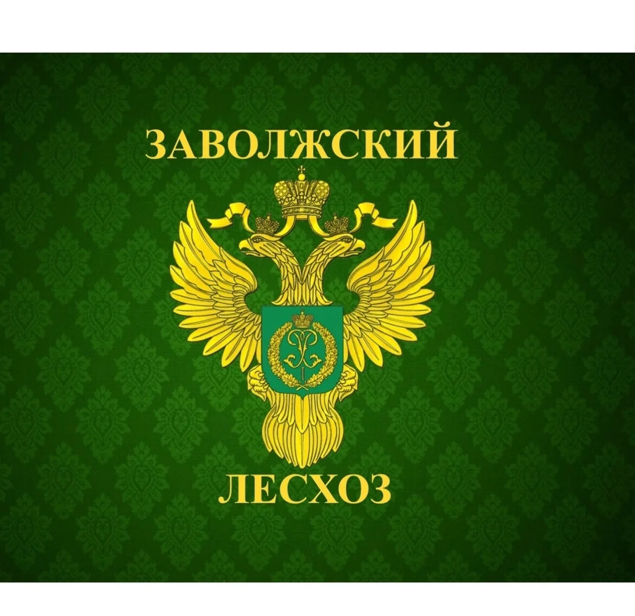 ГАУ СО "Заволжский лесхоз"