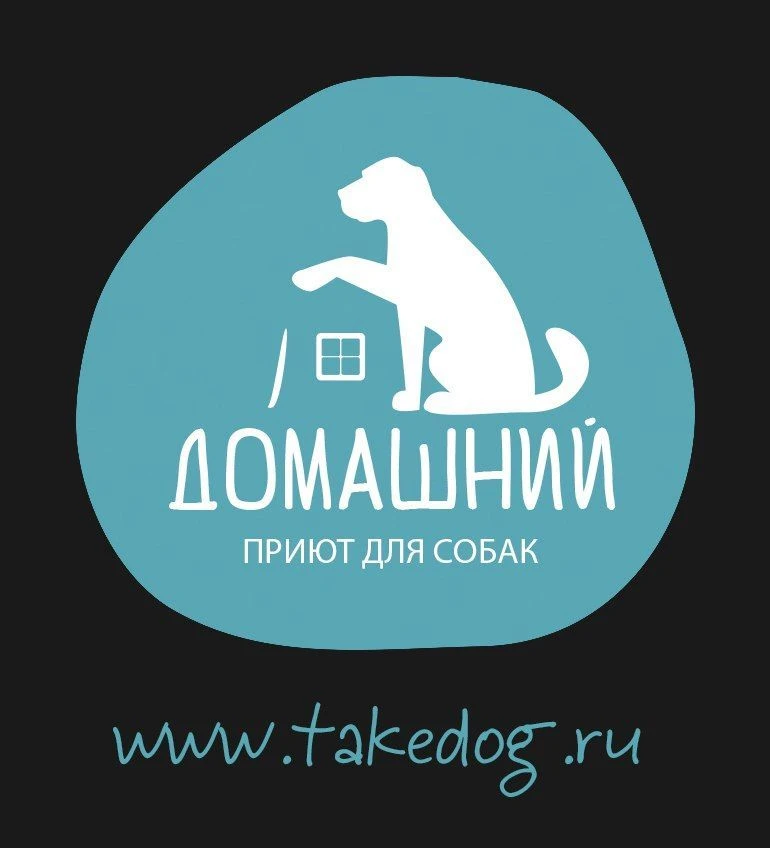 Приют для собак "Домашний": "Выбери меня"!