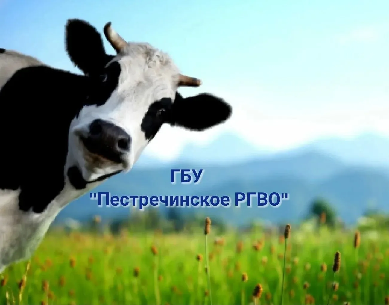 ГБУ "Пестречинское РГВО" — канал в мессенджере MAX