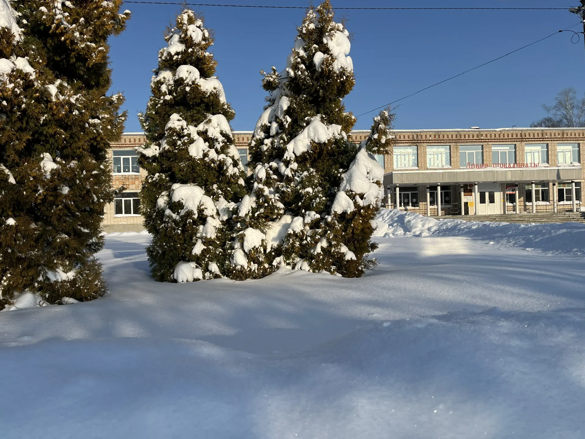 Шлипповская школа