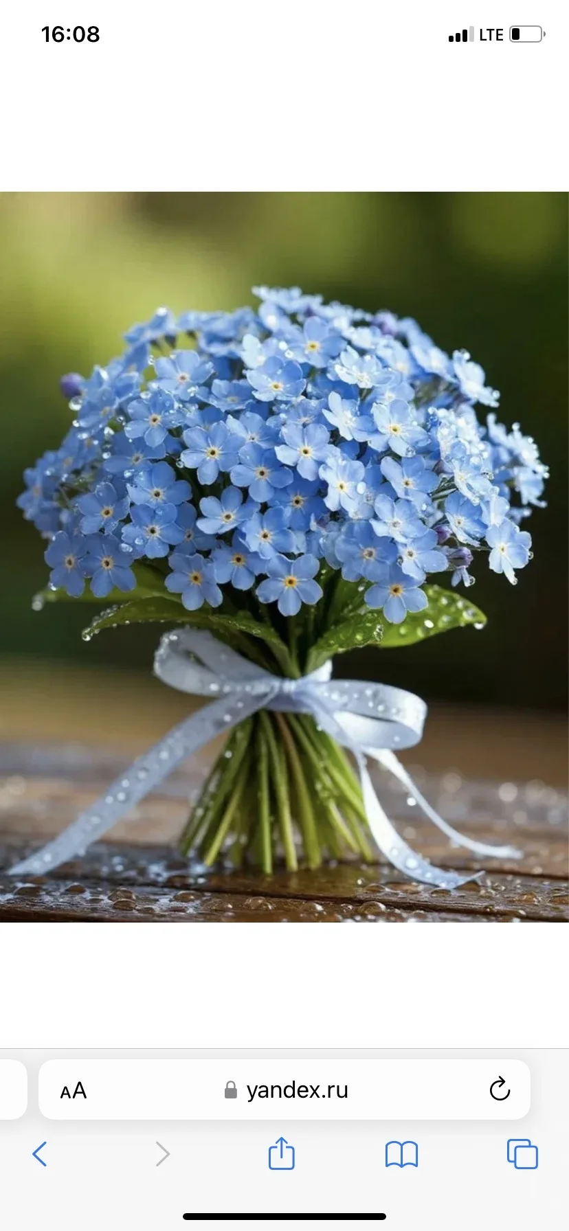 МКДОУ Детский сад  1 «Незабудка »