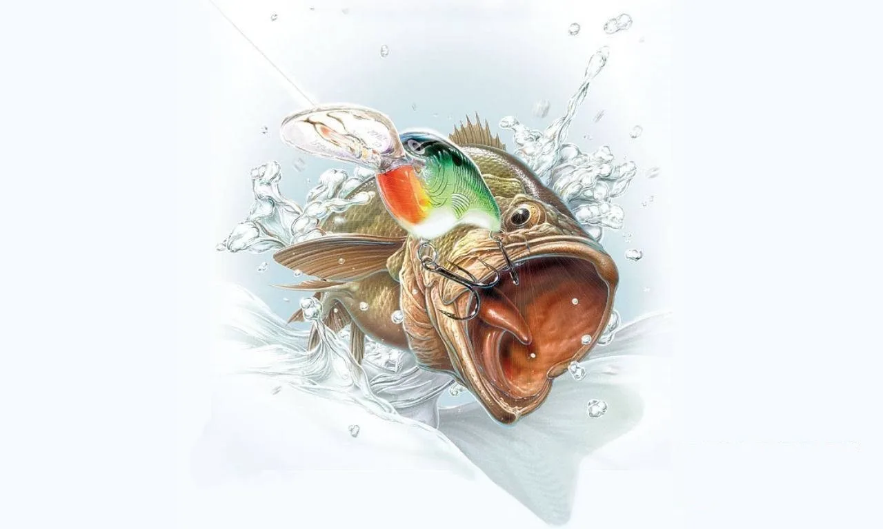 Рыбалка в Иваново