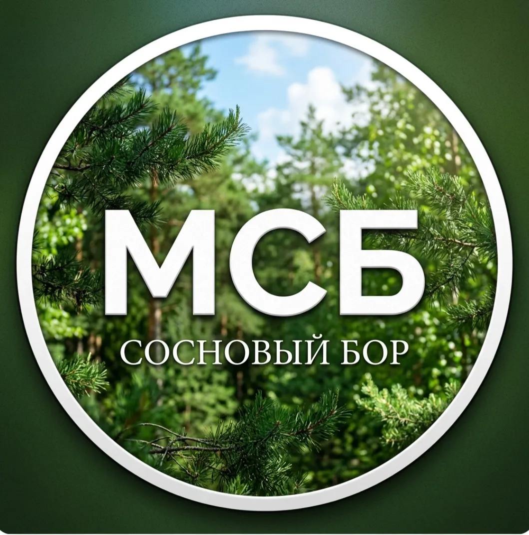 Сосновый Бор — канал в мессенджере MAX