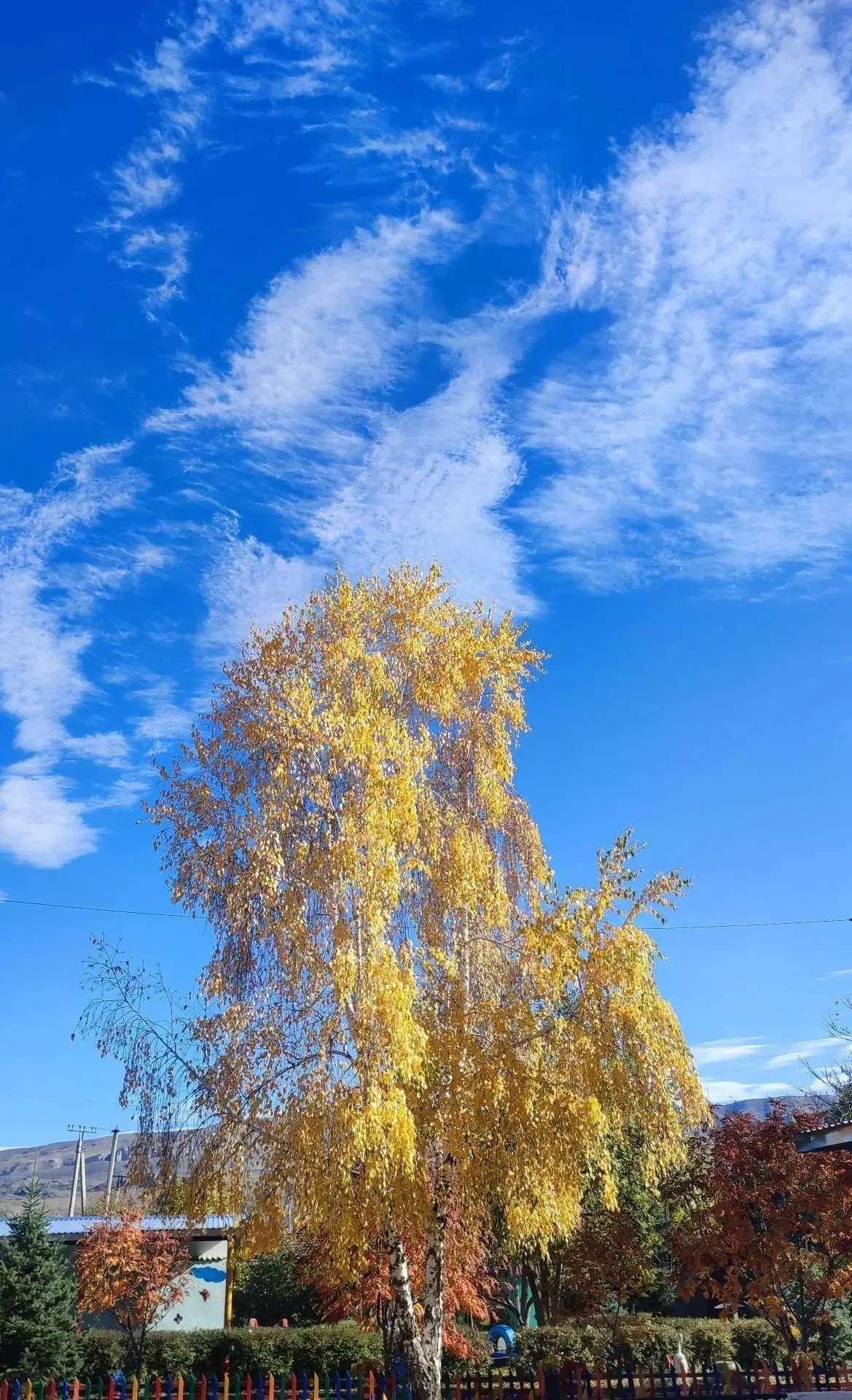 МУНИЦИПАЛЬНОЕ БЮДЖЕТНОЕ ДОШКОЛЬНОЕ ОБРАЗОВАТЕЛЬНОЕ УЧРЕЖДЕНИЕ "ДЕТСКИЙ САД "СКАЗКА " СТ. КРАСНОГОРСКОЙ"