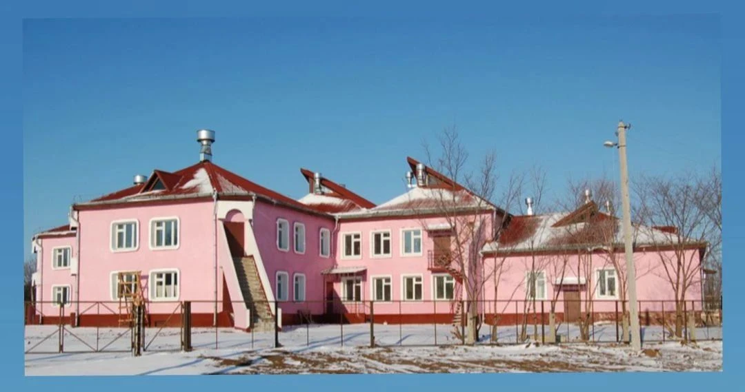 ГАУ АО "Дмитриевский СРЦН"