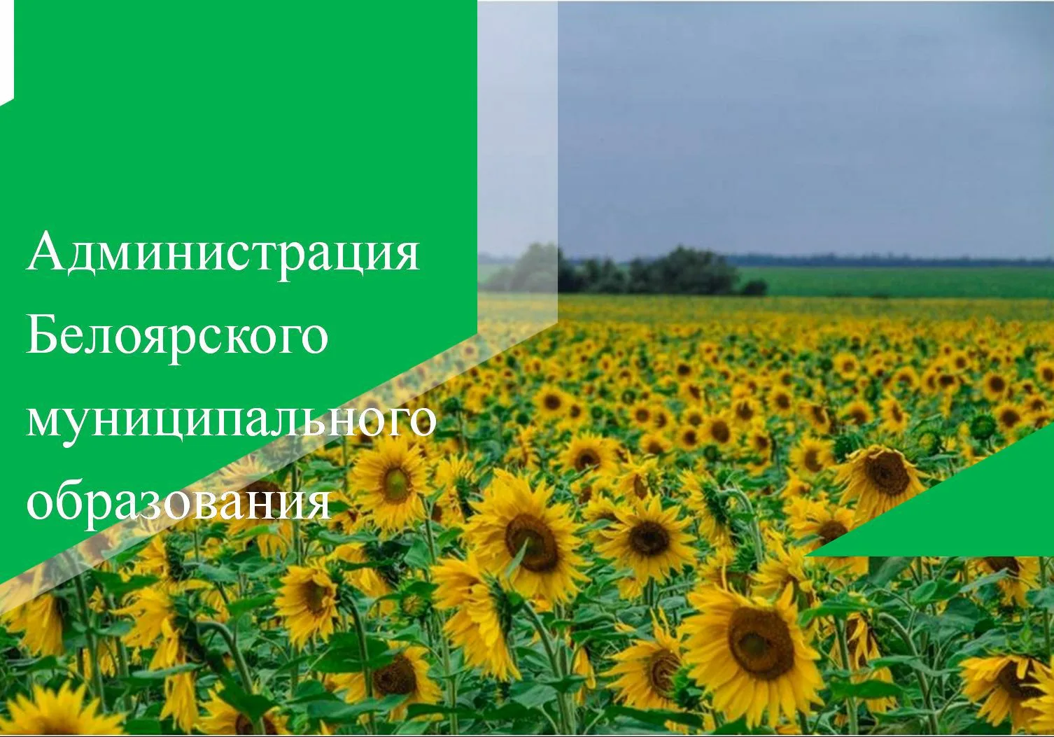Администрация Белоярского МО — канал в мессенджере MAX