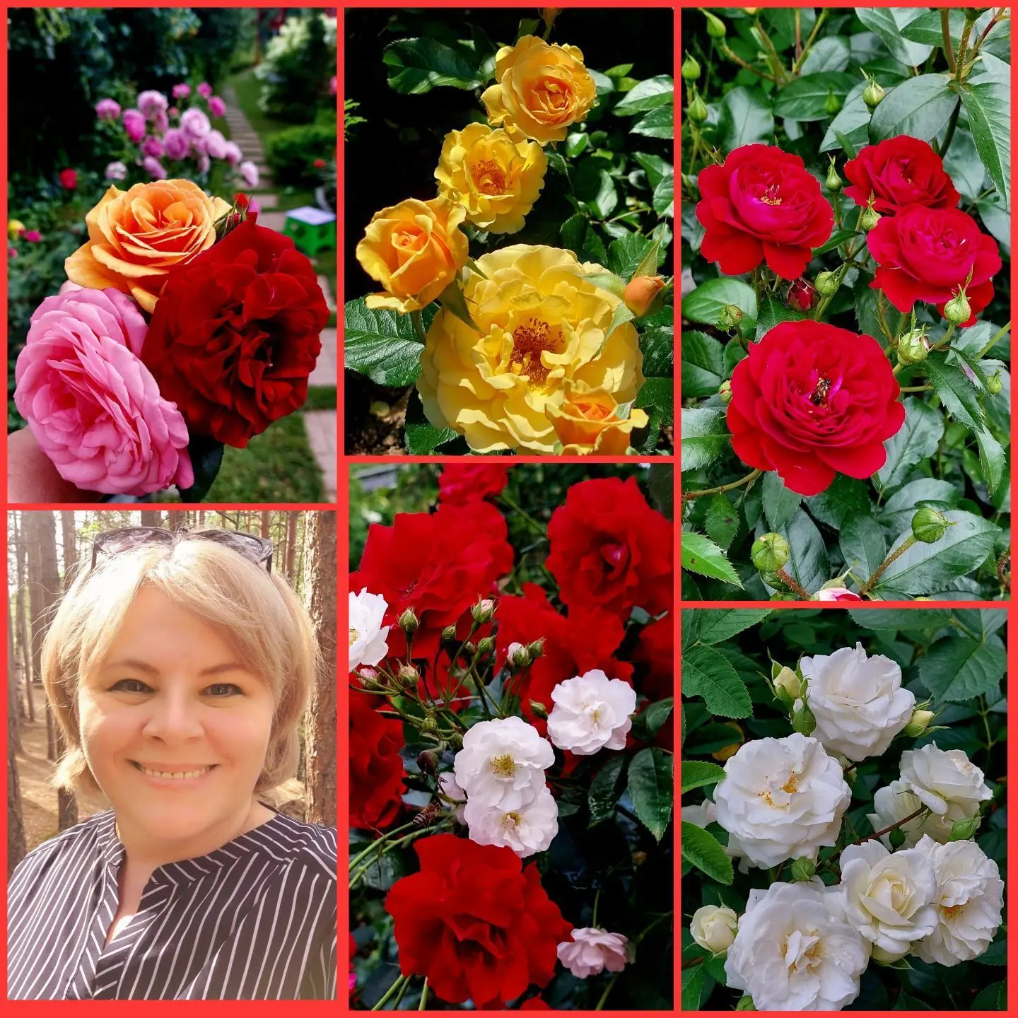 Цветочница Анюта🌹 — канал в мессенджере MAX