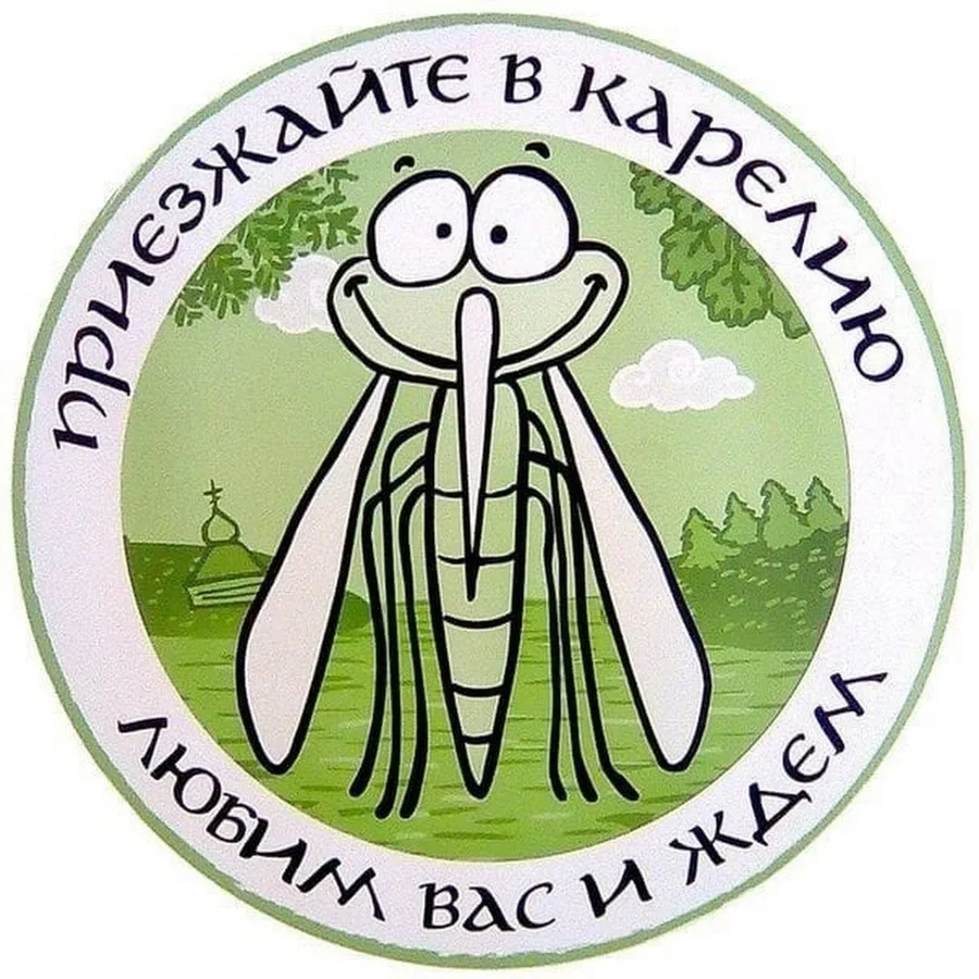 Карельский комарик | Петрозаводск и Карелия