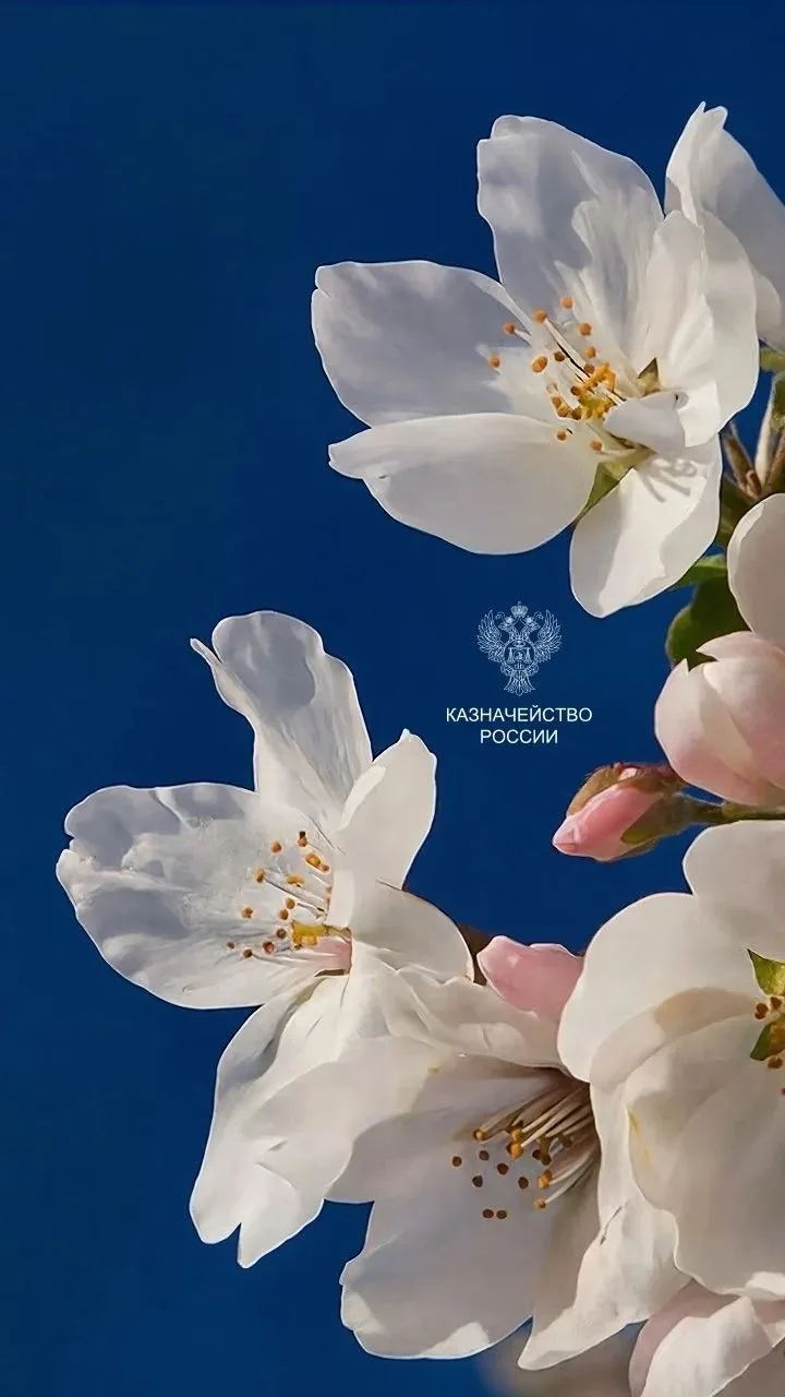 УФК по Волгоградской области