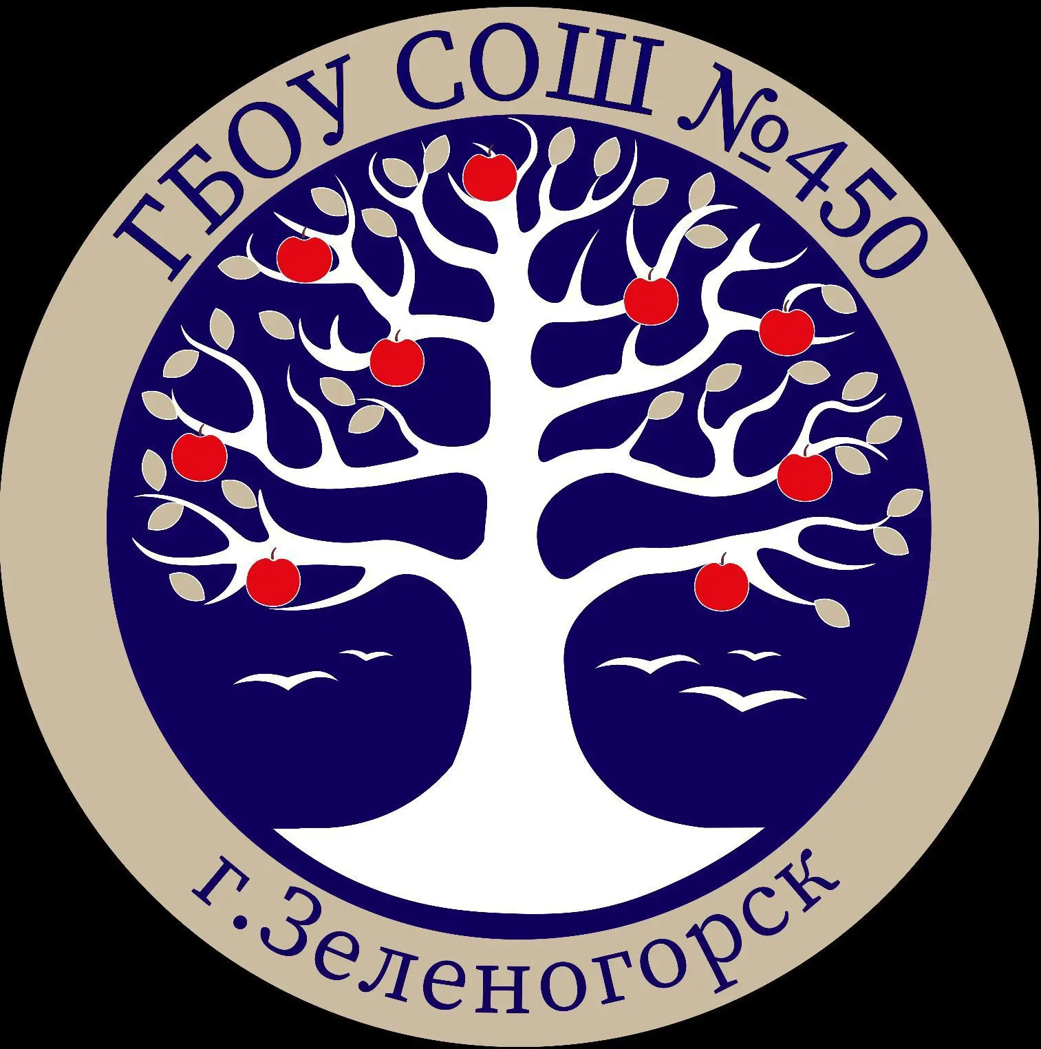 ГБОУ СОШ № 450 Курортного района Санкт-Петербурга