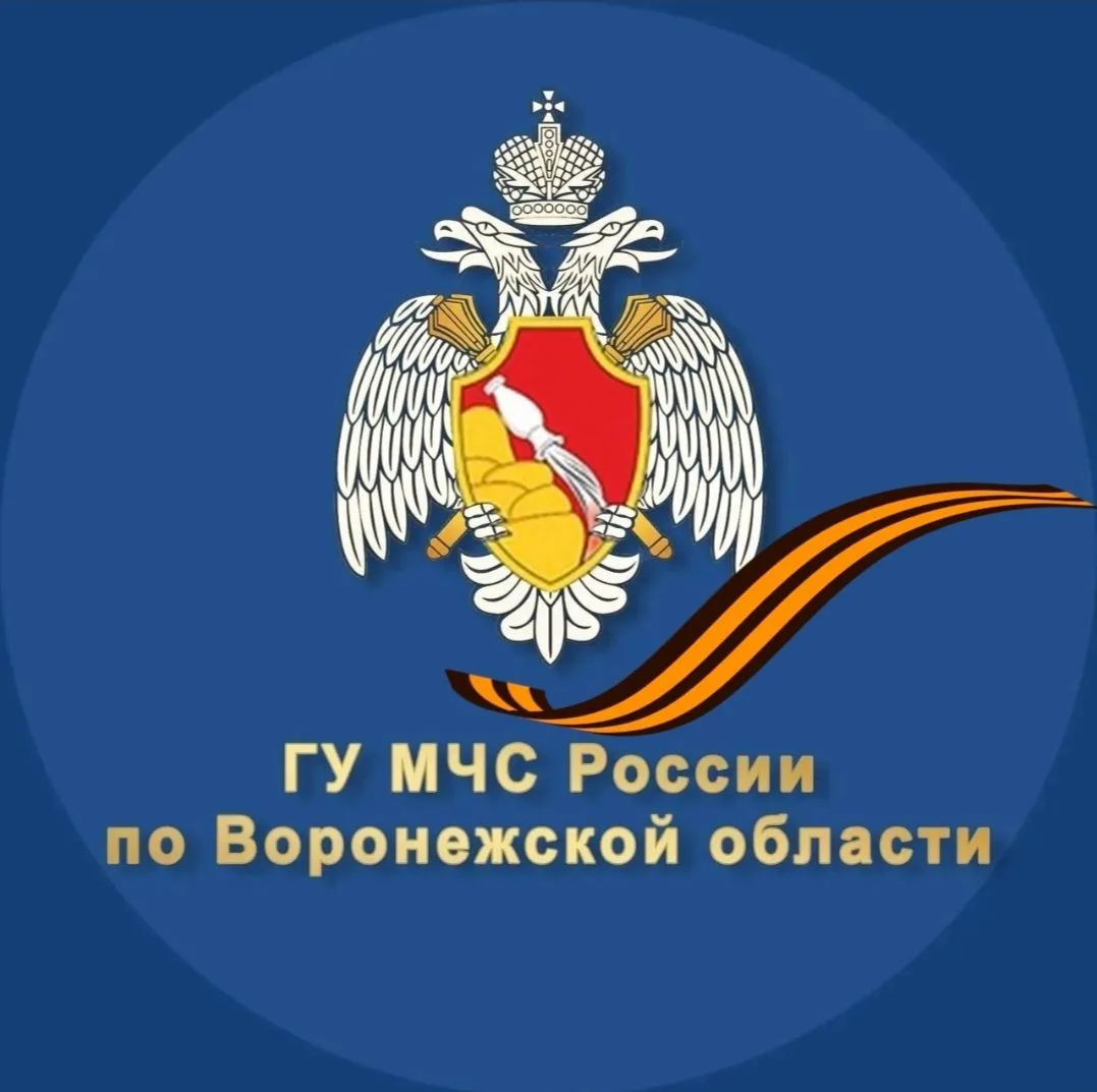 МЧС Воронежской области